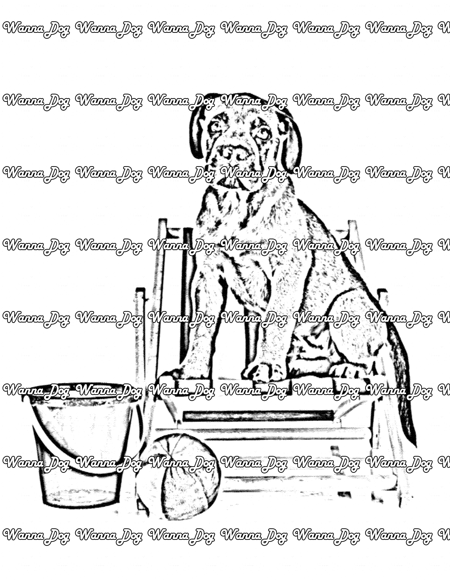 Mastiff Coloring Page of a Mastiff ready for the beach