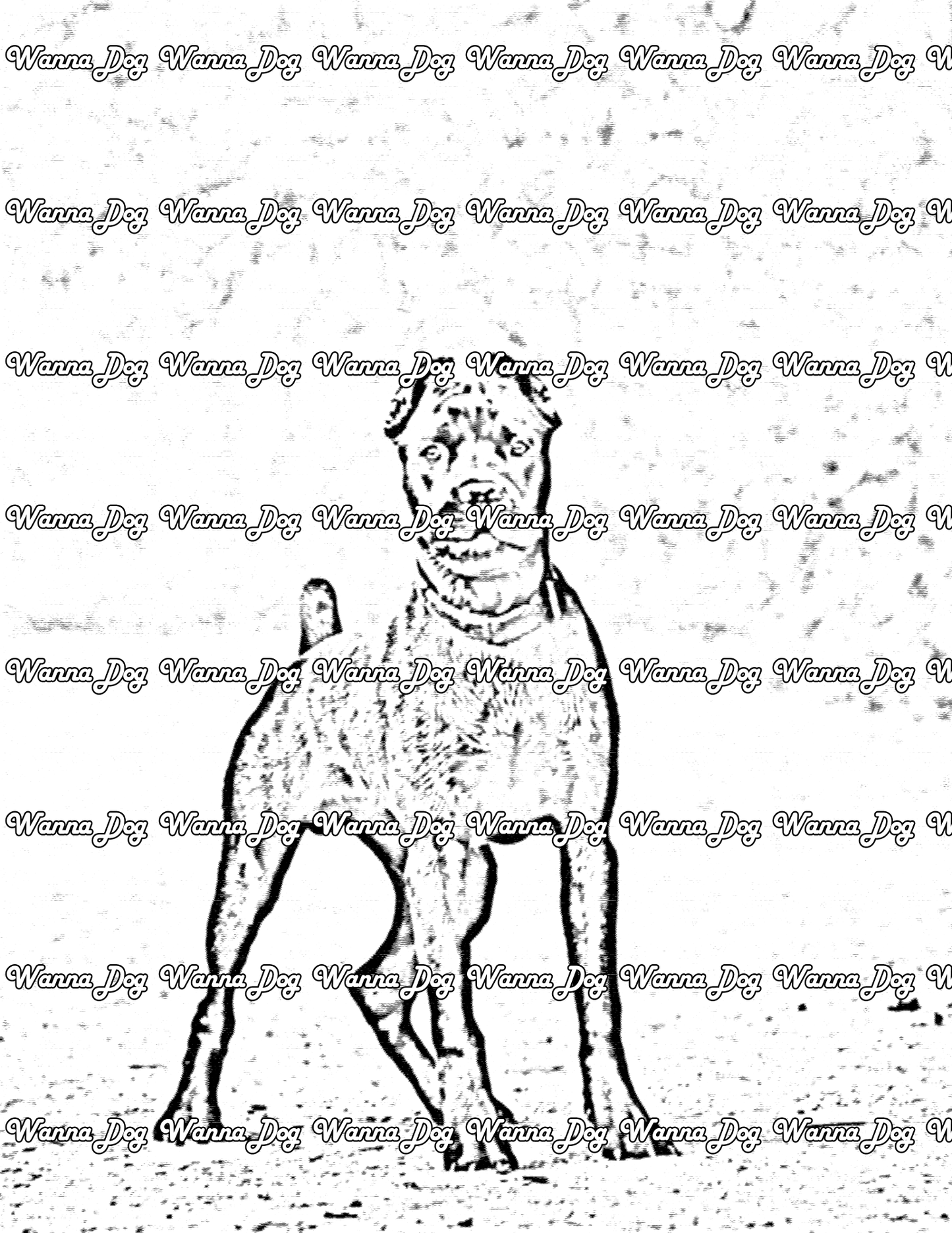 Mastiff Coloring Page of a Mastiff standing