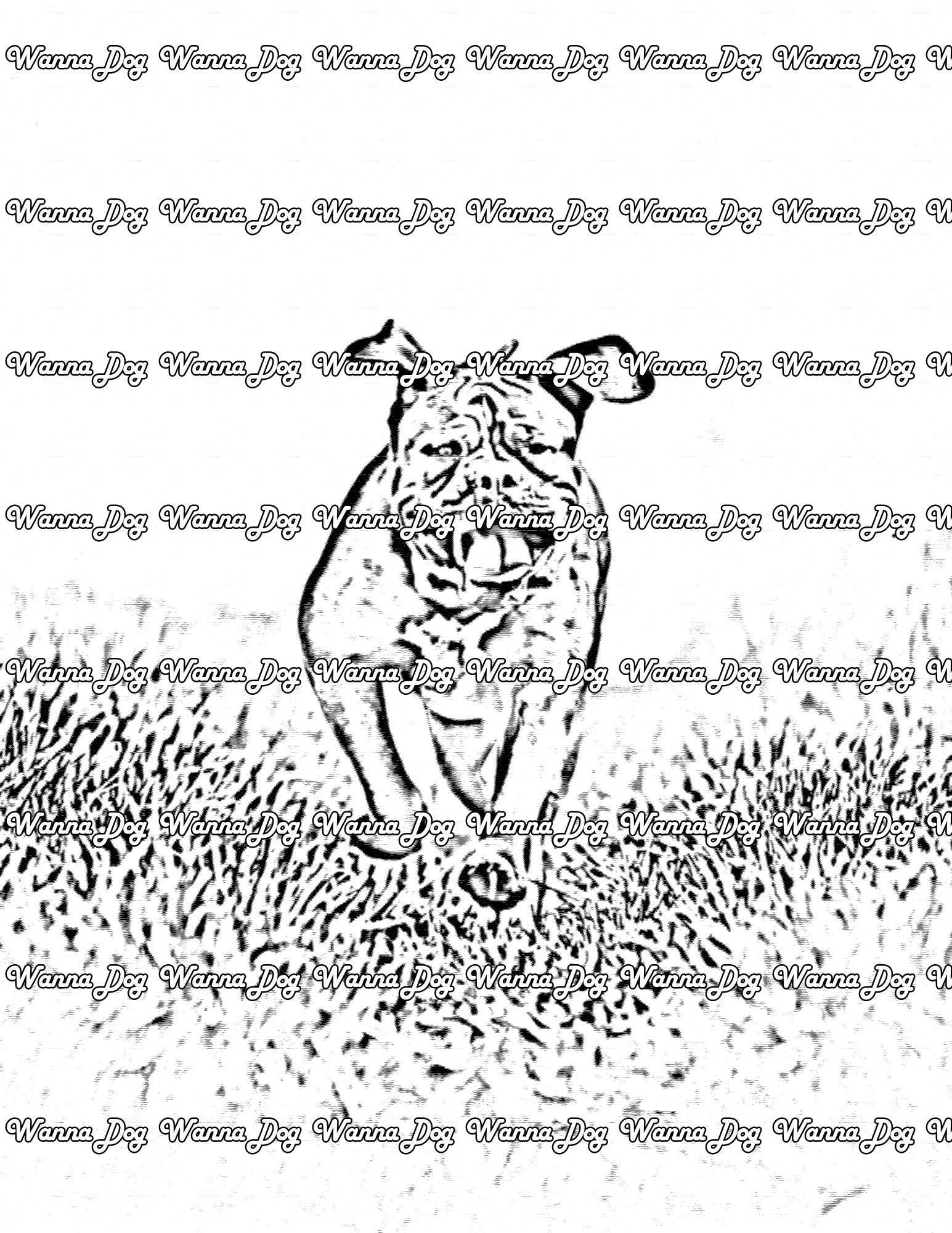 Mastiff Coloring Page of a Mastiff running