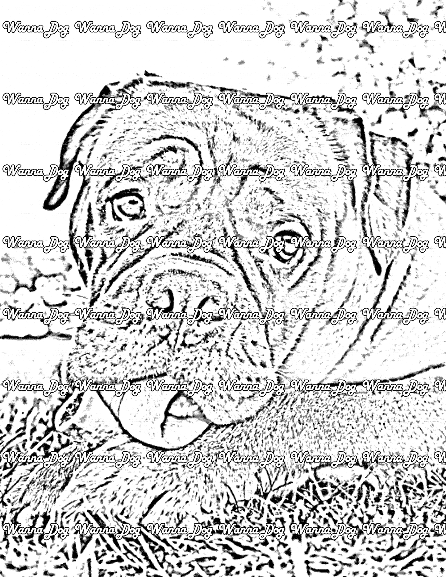 Mastiff Coloring Page of a Mastiff laying down with their tongue out