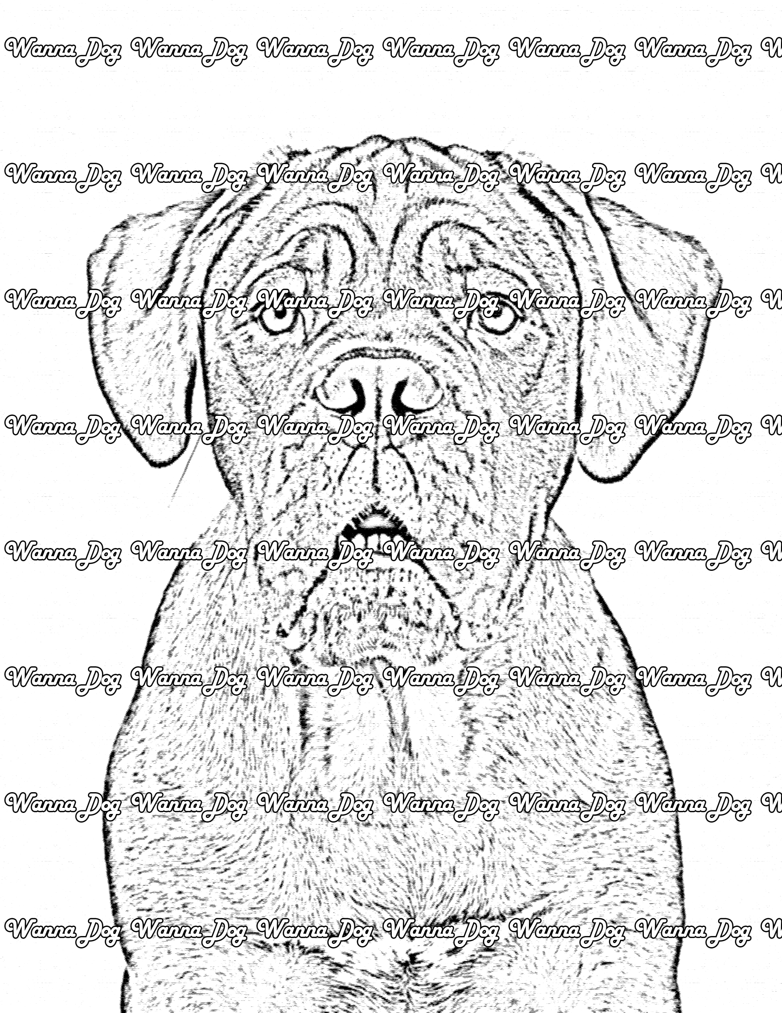 Mastiff Coloring Page of a Mastiff posing