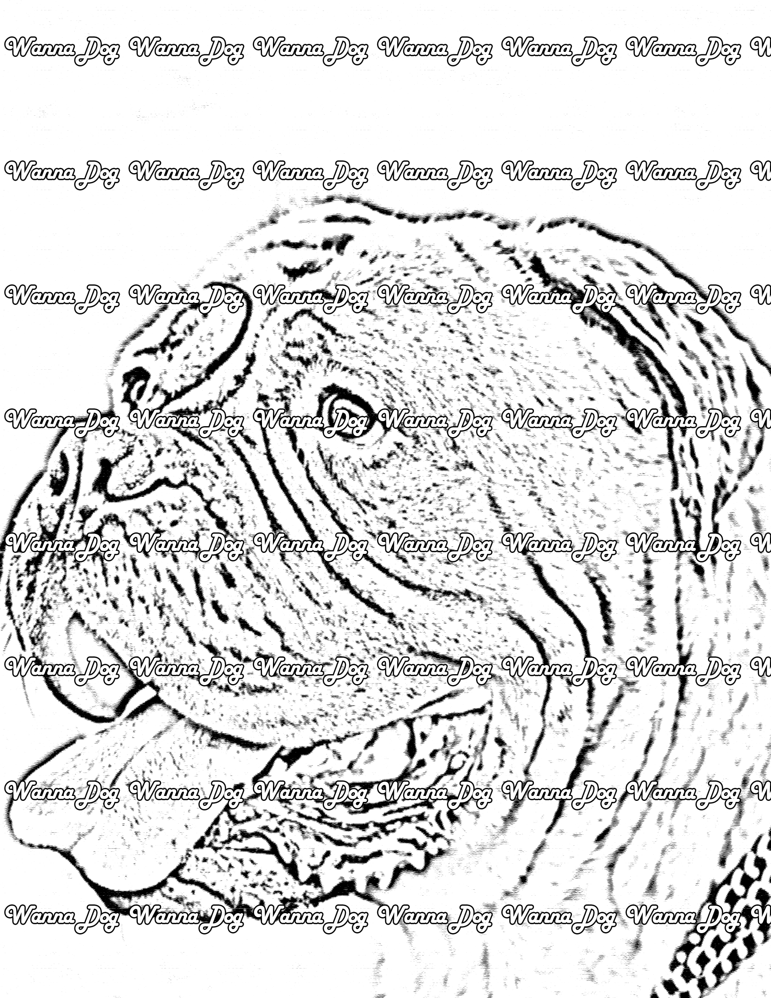 Mastiff Coloring Page of a Mastiff close up with their tongue out