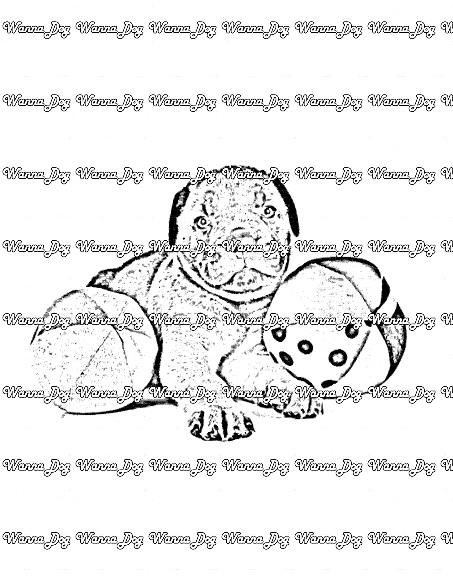 Mastiff Coloring Page of a Mastiff with two beach balls