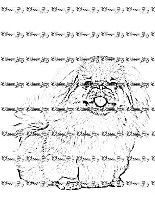 Pekingese Coloring Page of a Pekingese posing, sitting, with their tongue out