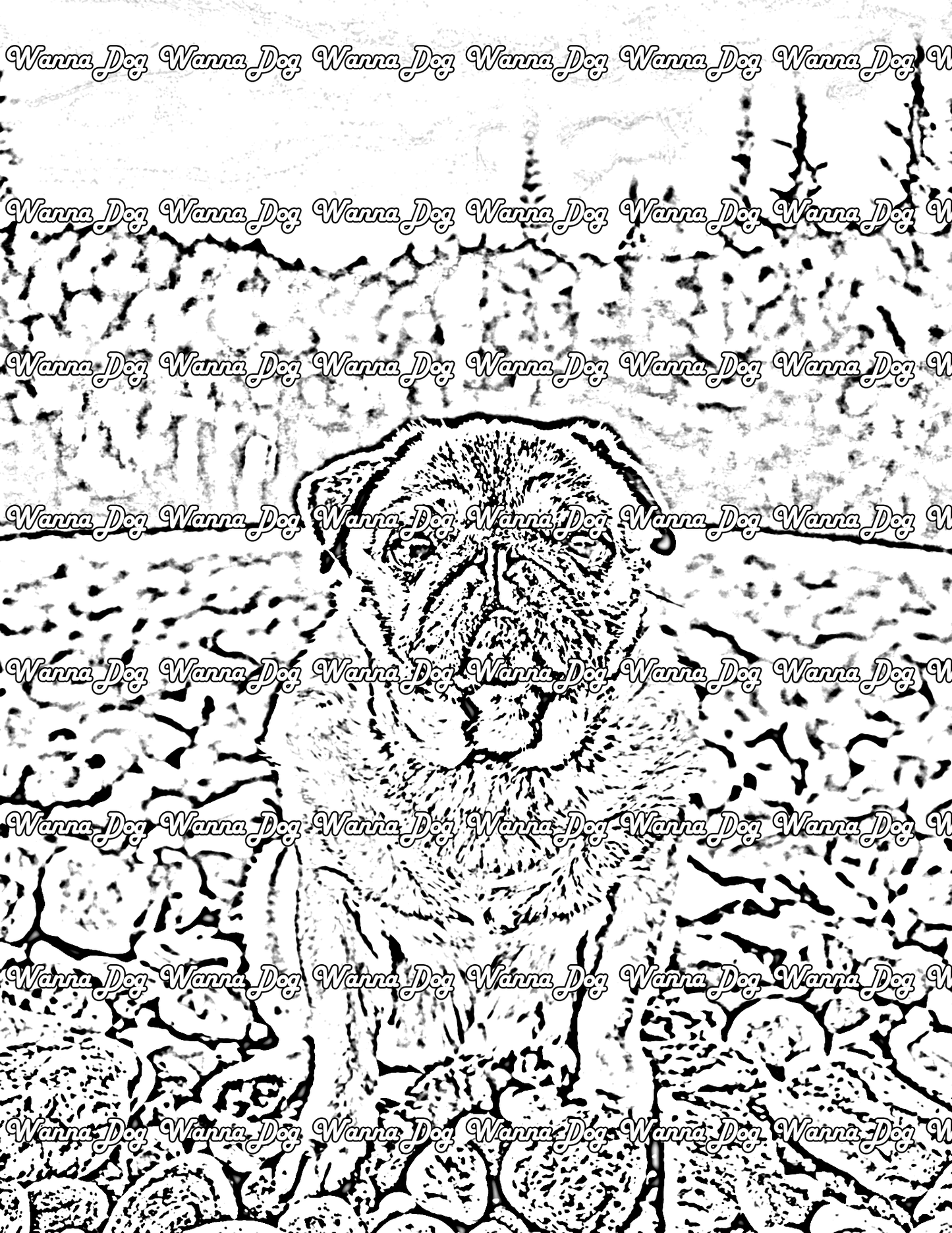 Pug Coloring Page of a pug on rocks