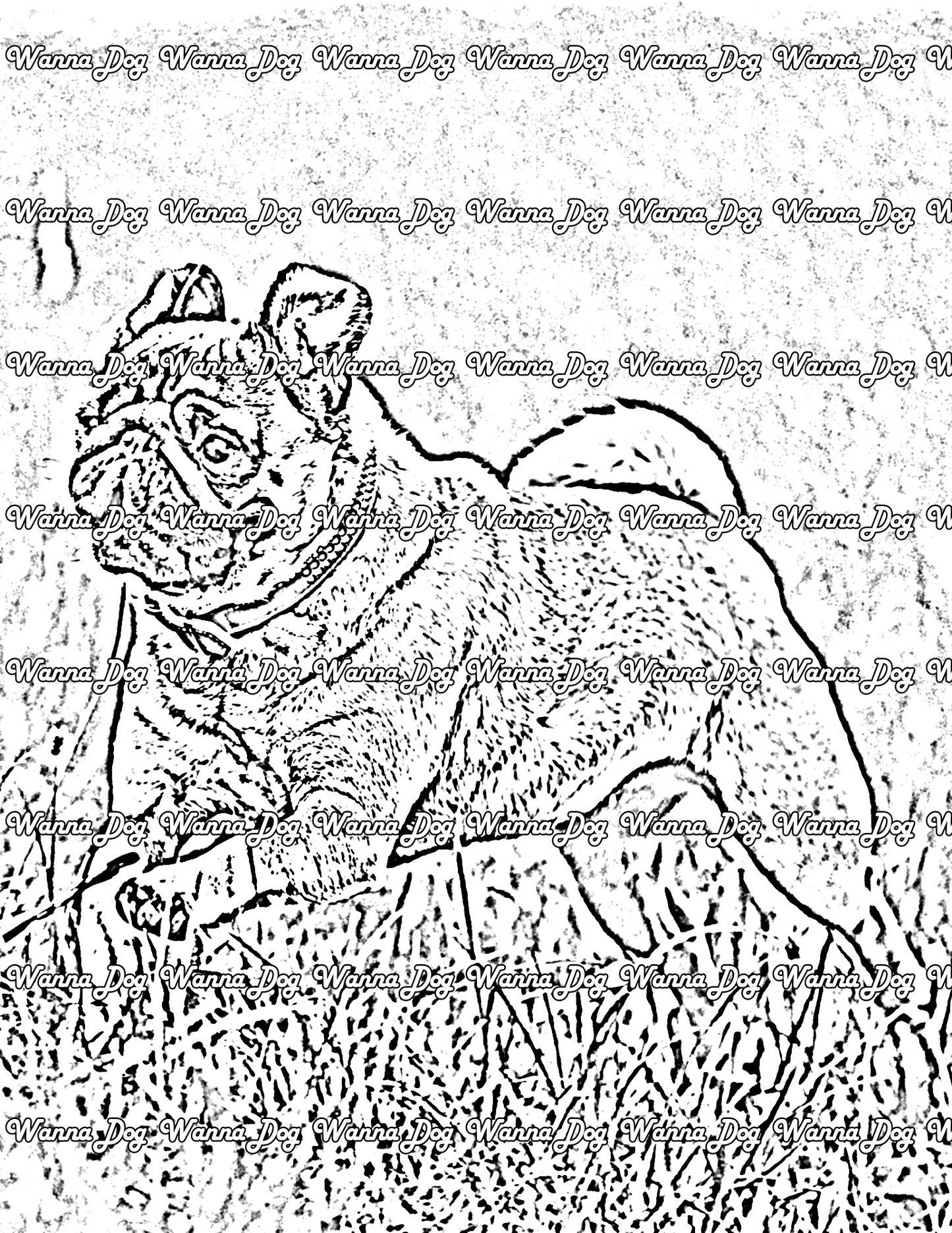 Pug Coloring Page of a pug running in grass