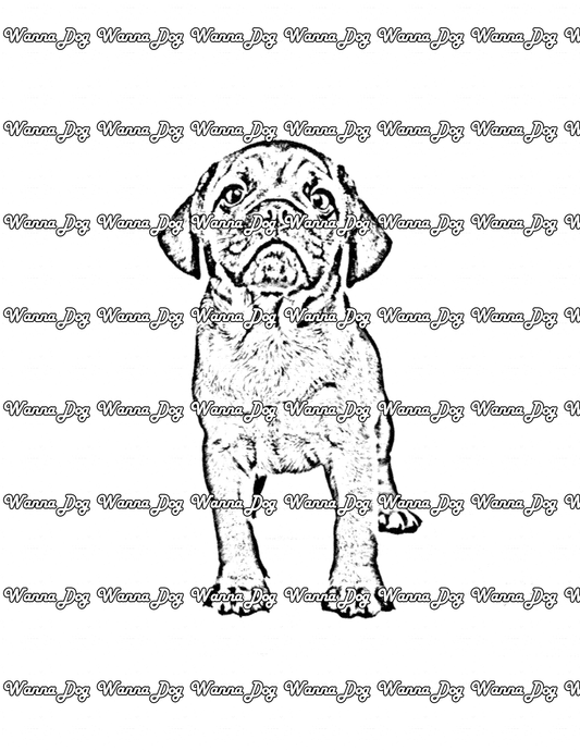 Puggle Coloring Page of a Puggle standing