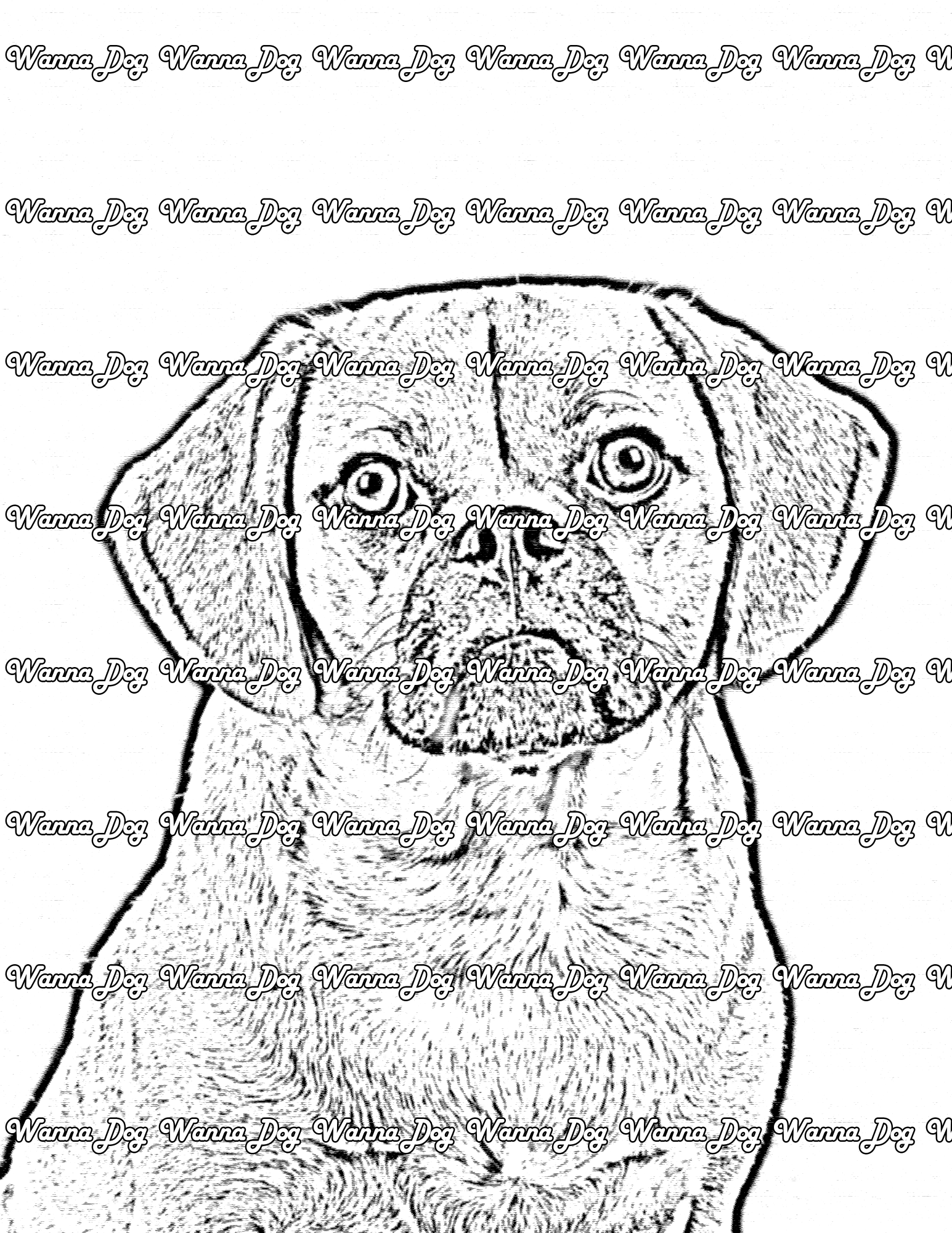 Puggle Coloring Page of a Puggle portrait