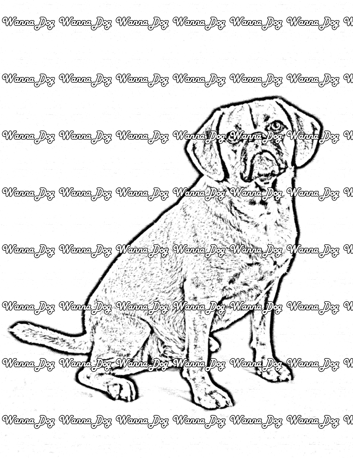 Puggle Coloring Page of a Puggle sitting