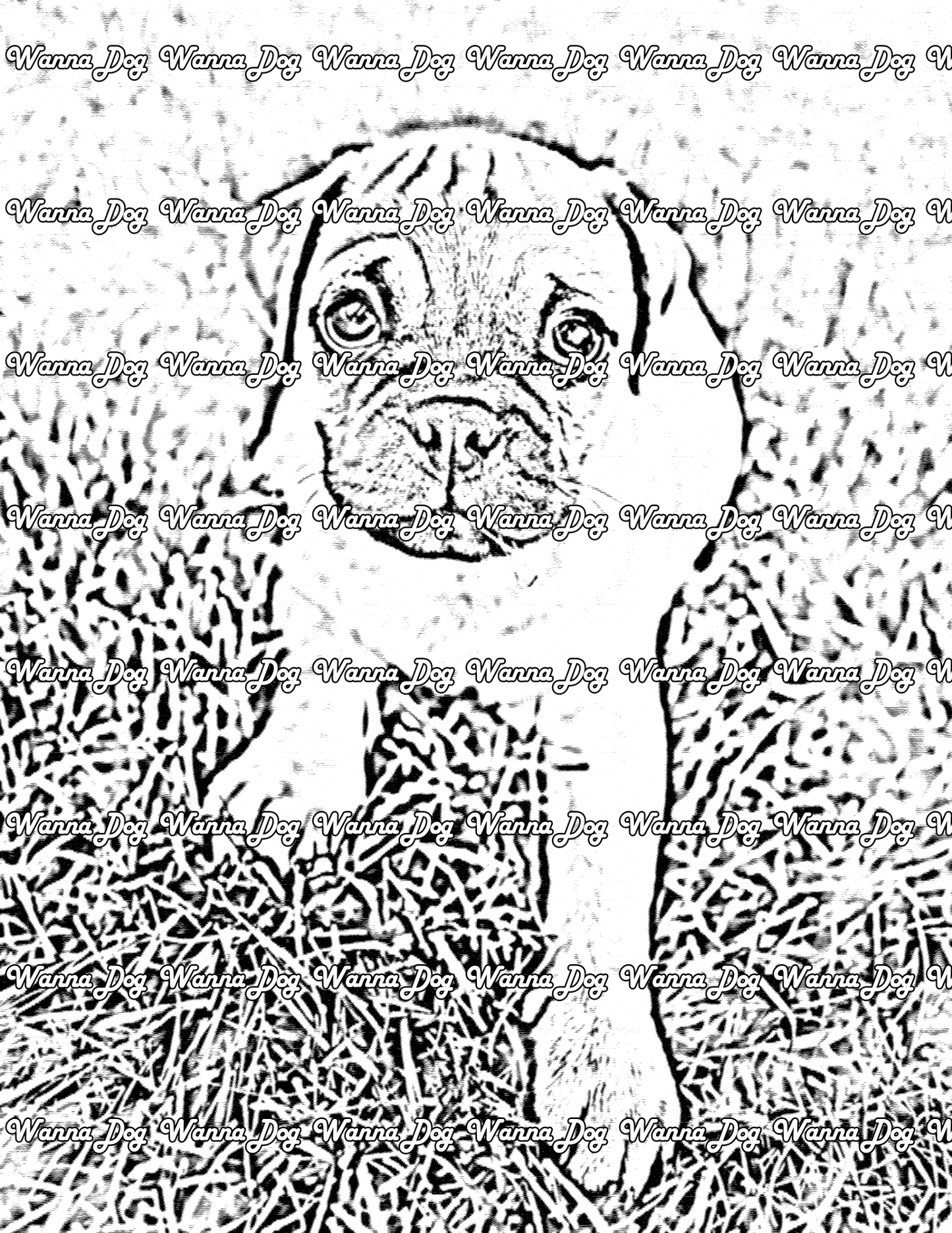 Puggle Coloring Page of a Puggle sitting in grass