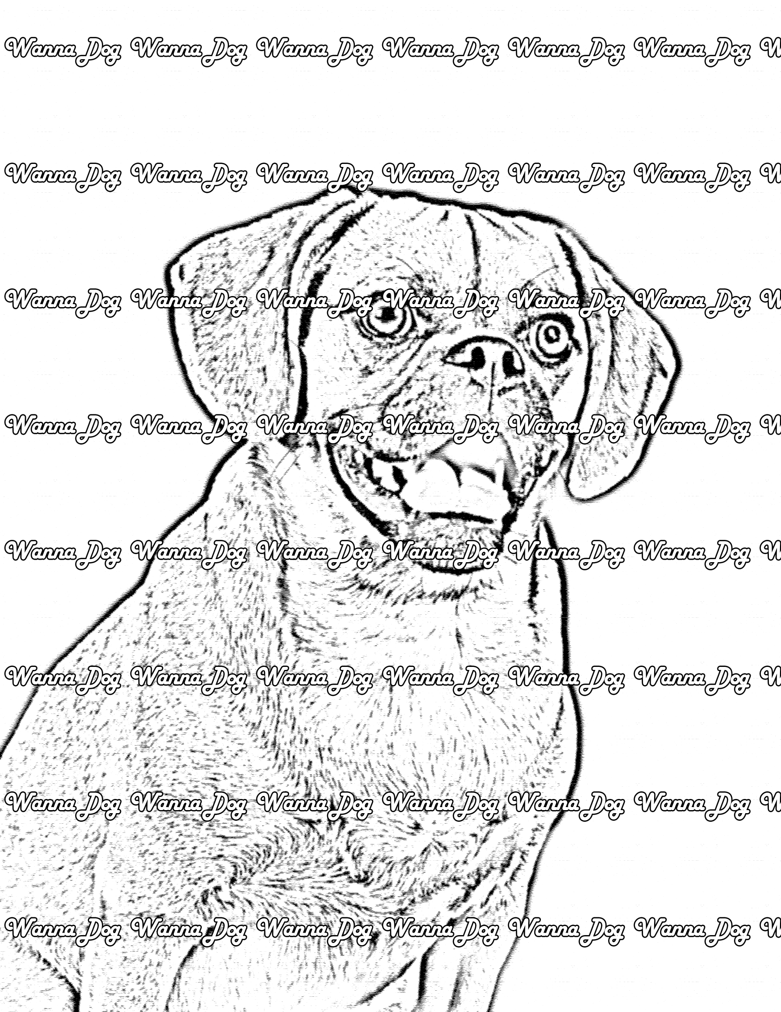 Puggle Coloring Page of a Puggle smiling