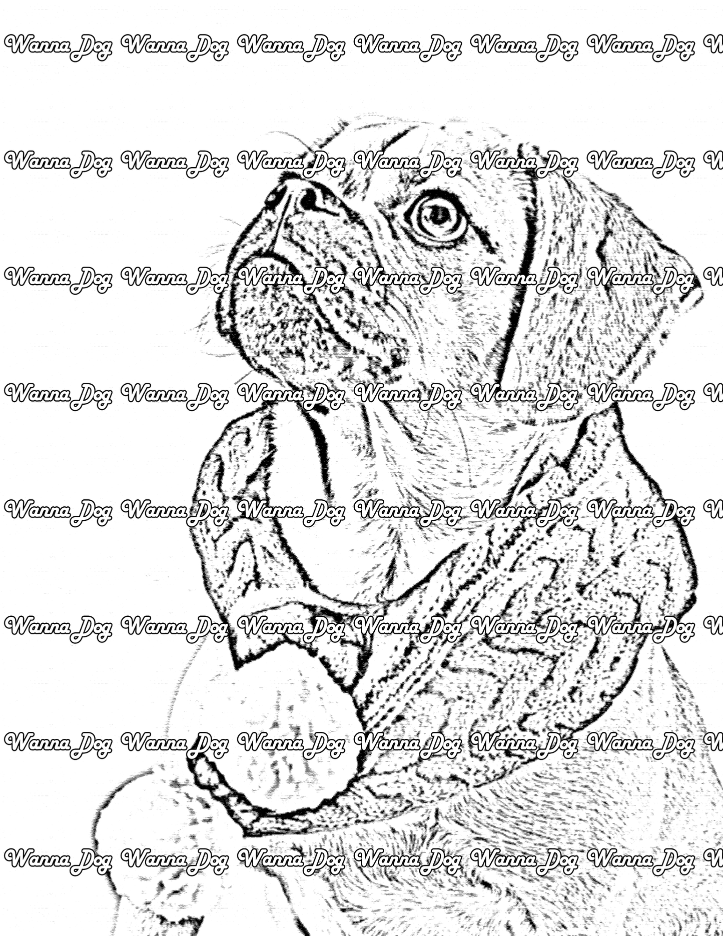 Puggle Coloring Page of a Puggle wearing a scarf