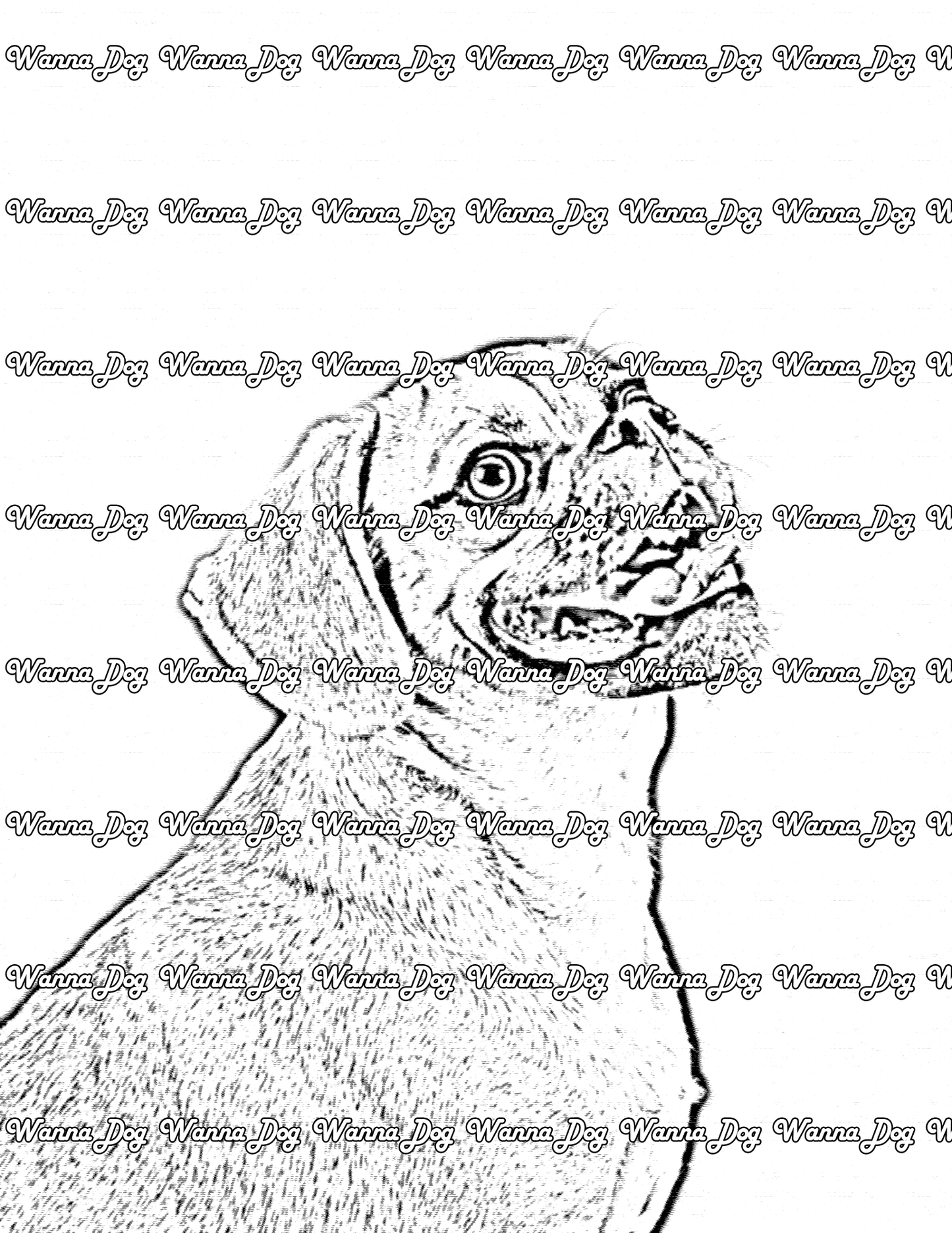 Puggle Coloring Page of a Puggle with their tongue out