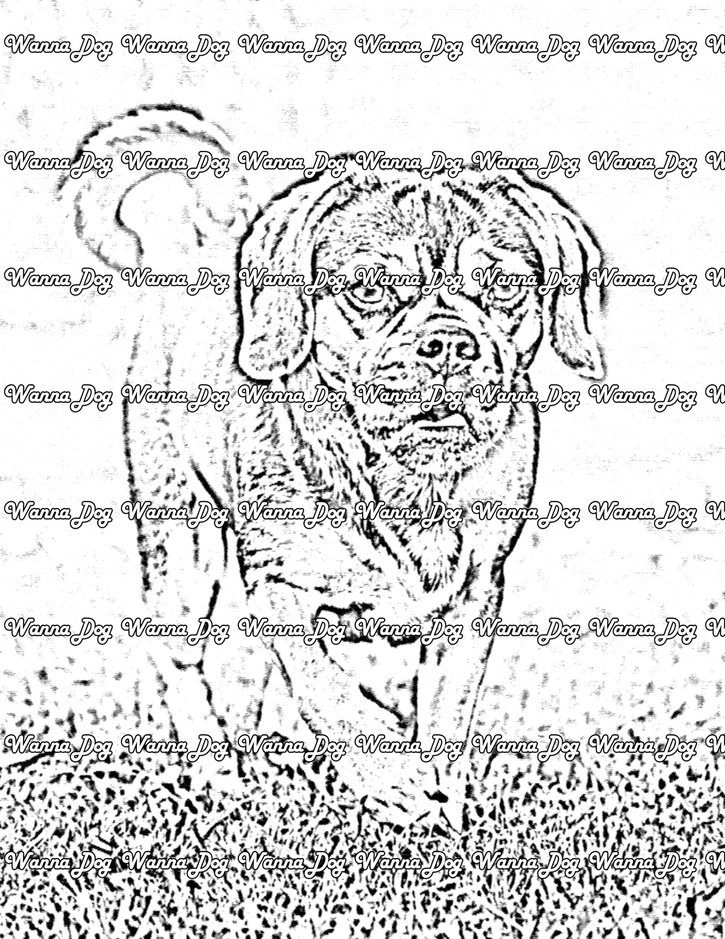 Puggle Coloring Page of a Puggle walking