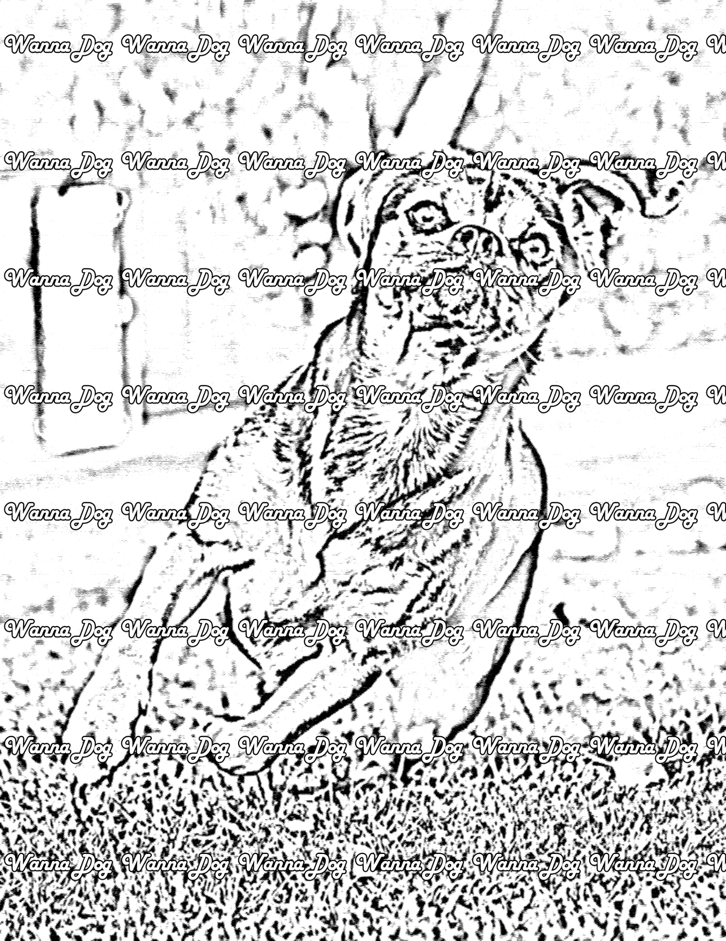 Puggle Coloring Page of a Puggle running
