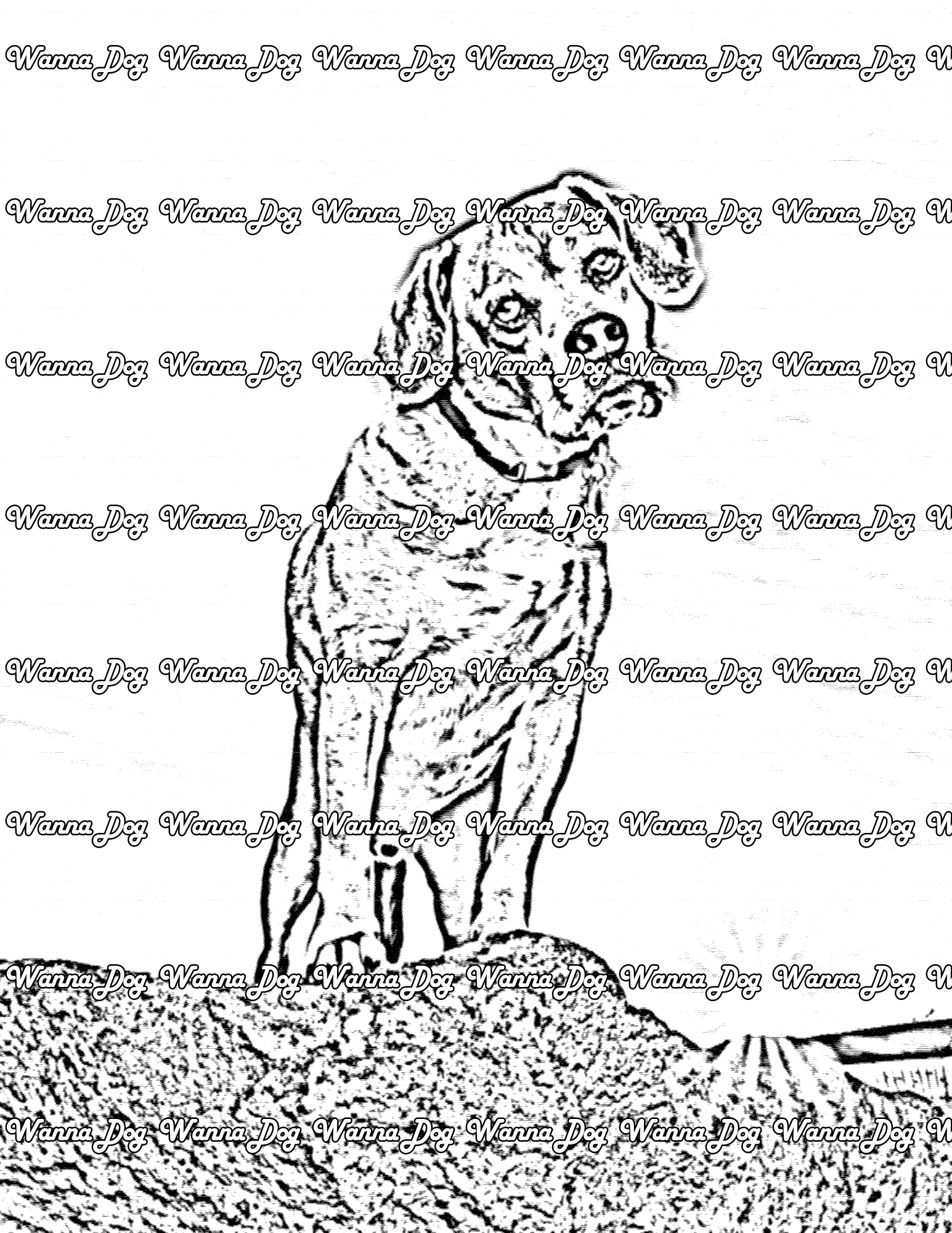 Puggle Coloring Page of a Puggle standing on a rock
