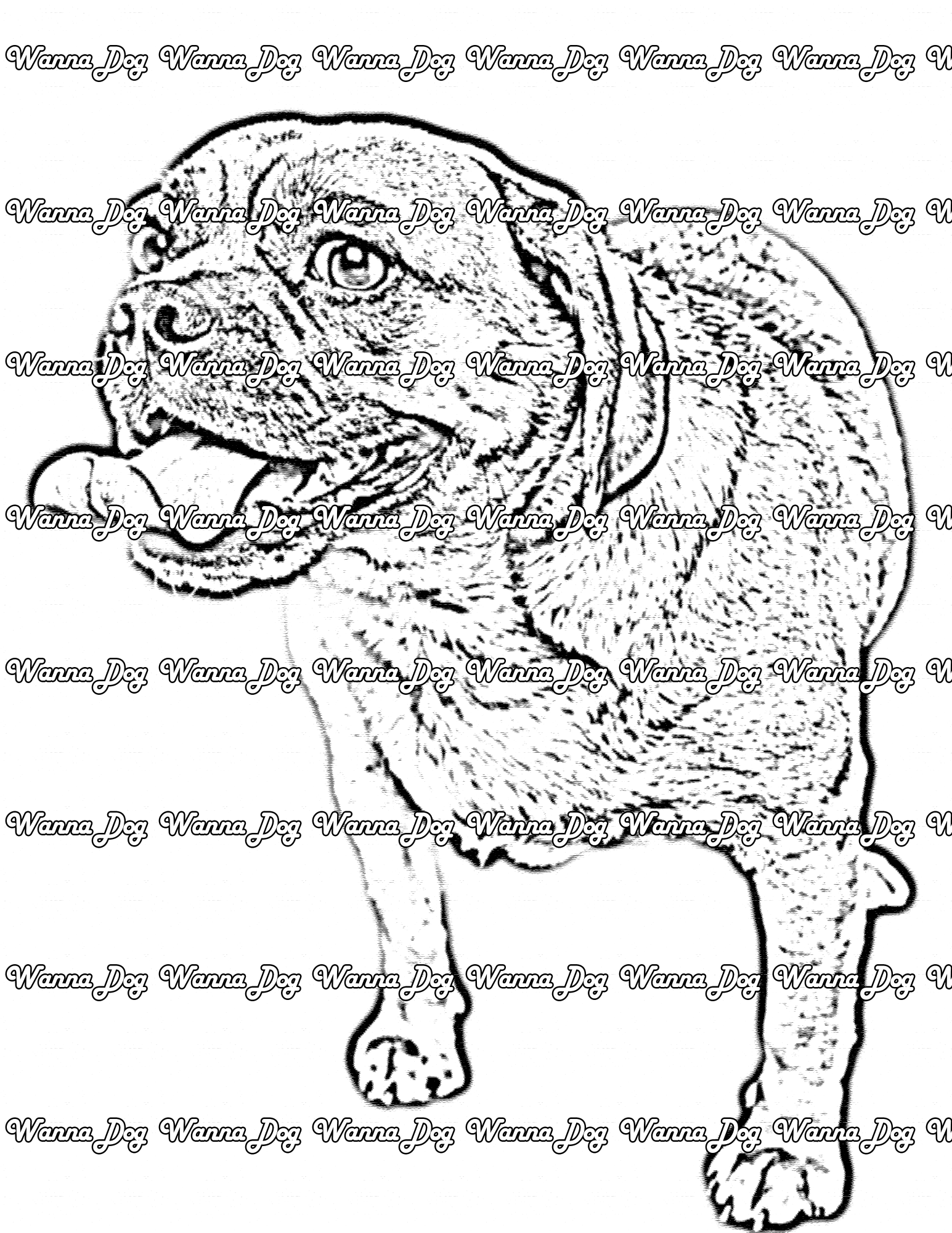 Puggle Coloring Page of a Puggle sticking their tongue out