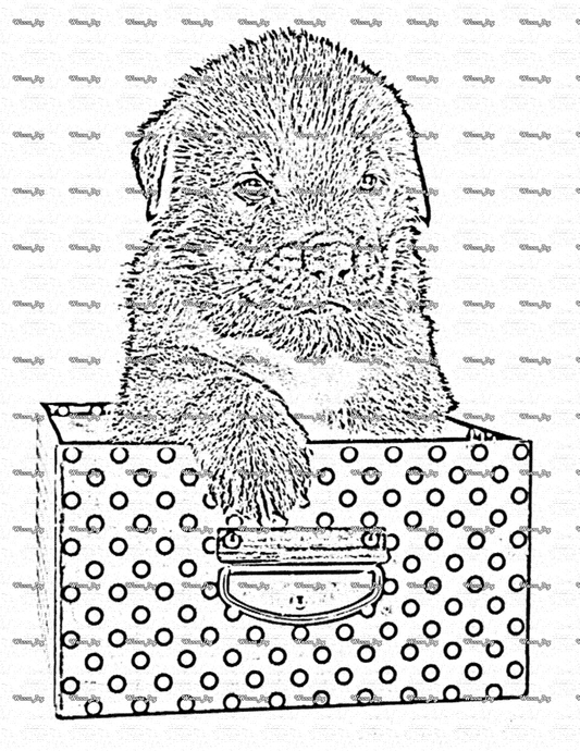 Rottweiler Coloring Page of a Rottweiler in a box