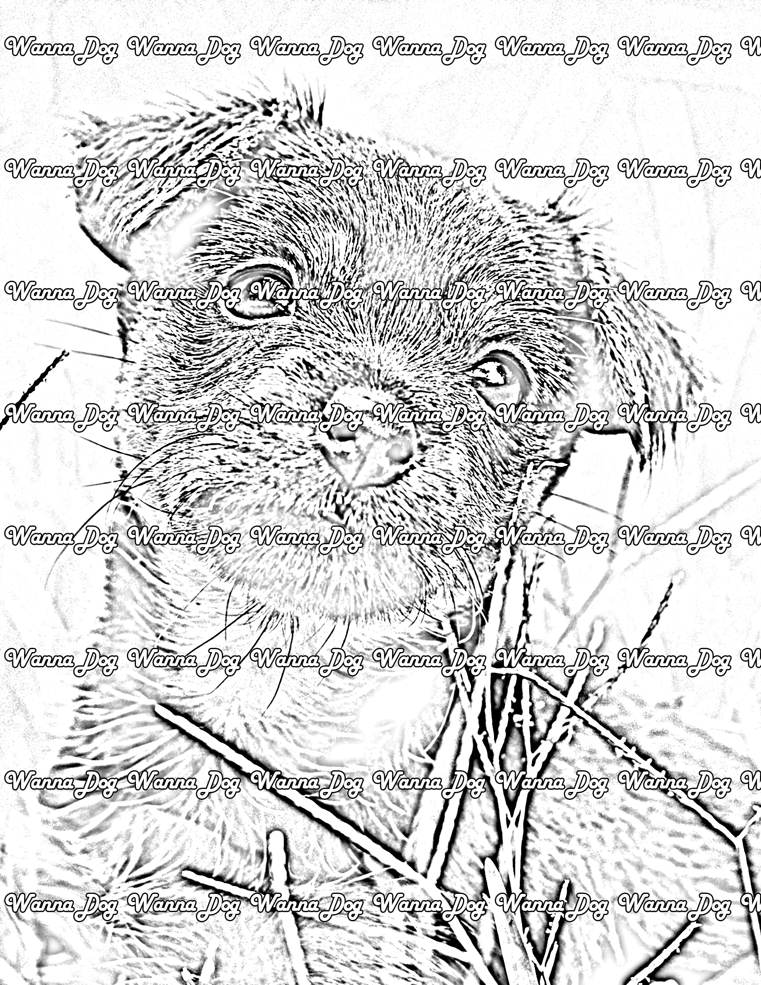 Rottweiler Puppy Coloring Page of a Rottweiler Puppy close up and outside