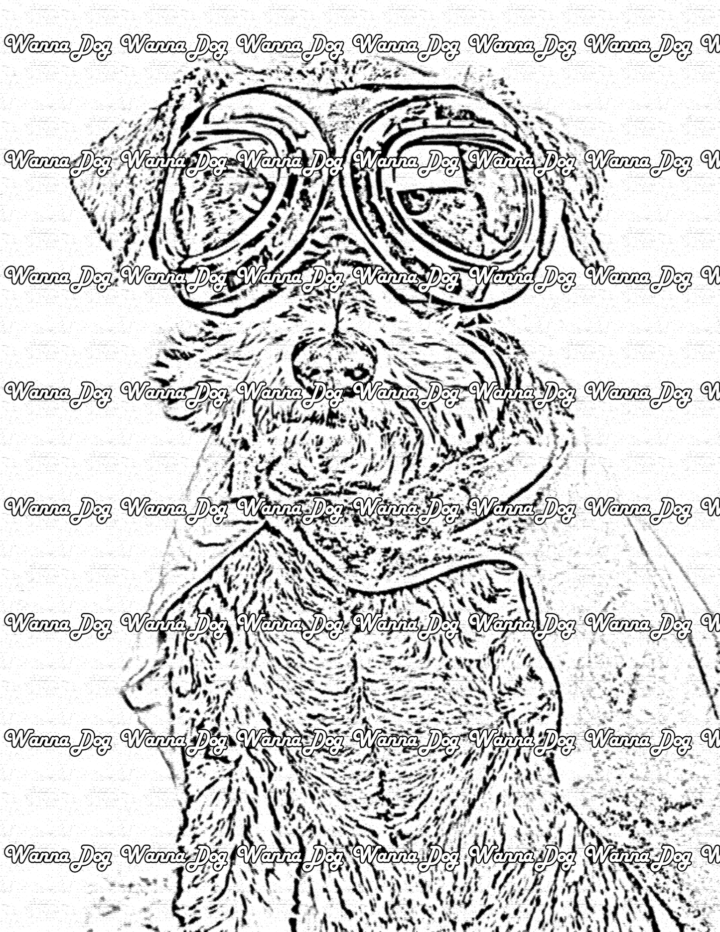 Schnauzer Coloring Page of a Schnauzer dressed as a superhero