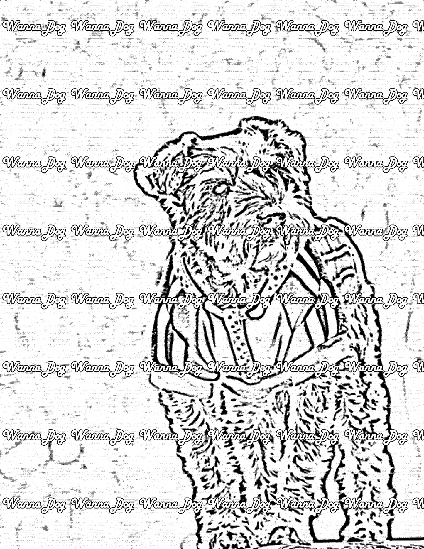 Schnauzer Coloring Page of a Schnauzer wearing nice clothes