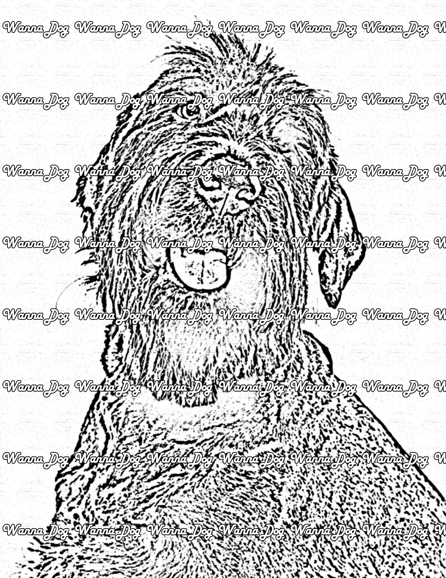 Schnauzer Coloring Page of a Schnauzer posing with the head tilted to the side