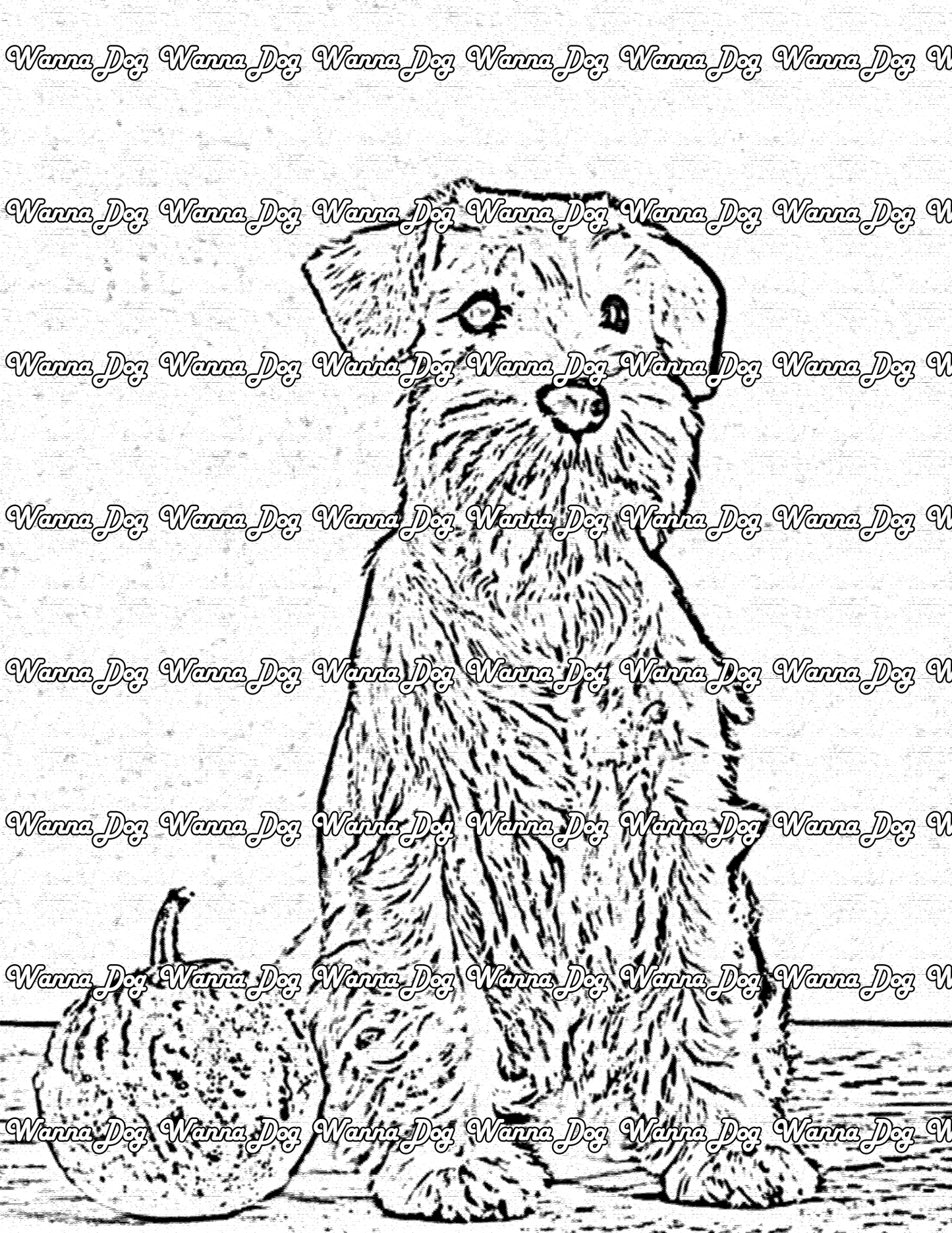 Schnauzer Coloring Page of a Schnauzer sitting with a pumpkin