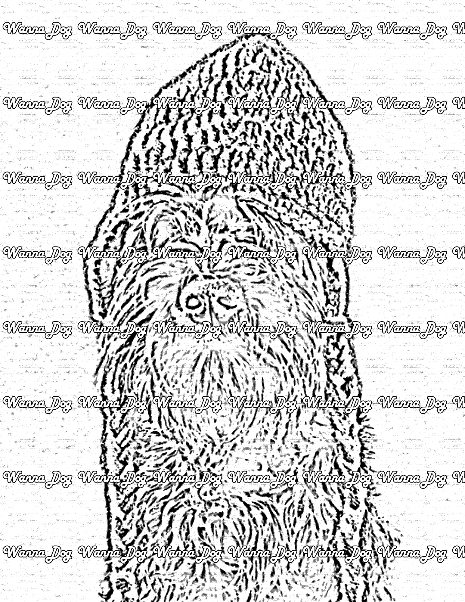 Schnauzer Coloring Page of a Schnauzer wearing a winter hat