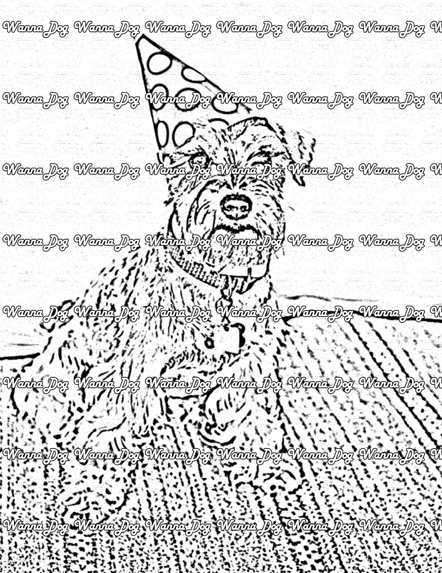 Schnauzer Coloring Page of a Schnauzer wearing a birthday hat
