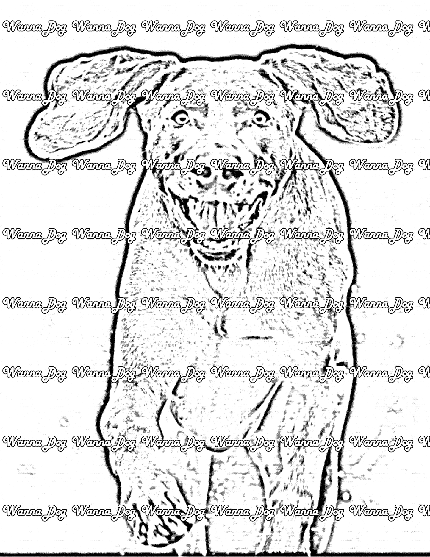 Weimaraner Coloring Page of a Weimaraner running