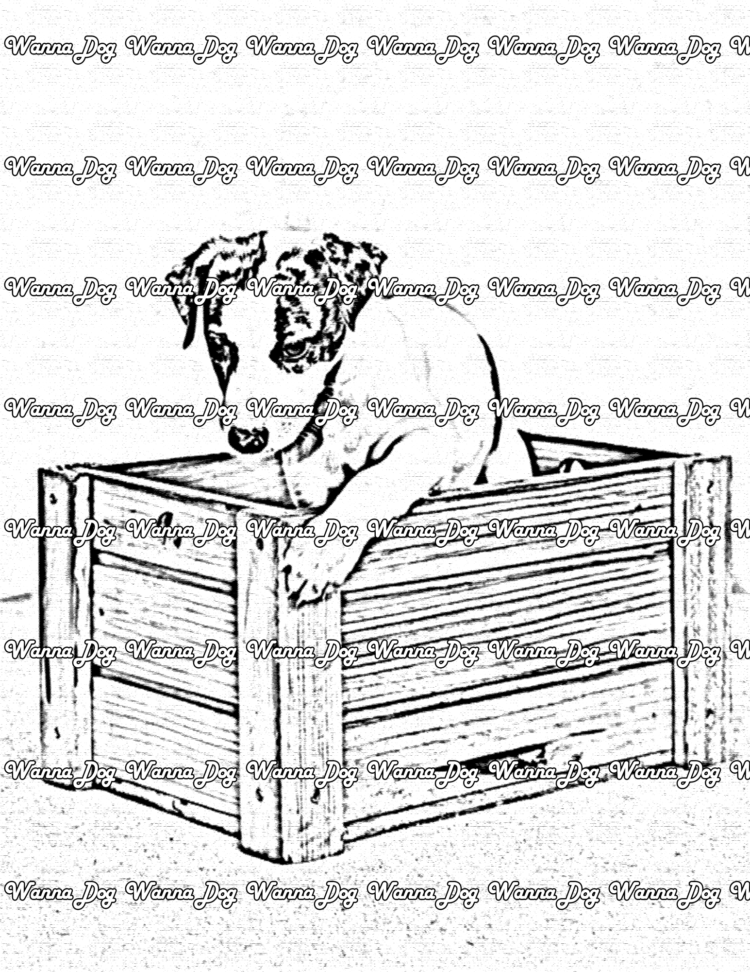 Whippet Coloring Page of a Whippet in a box
