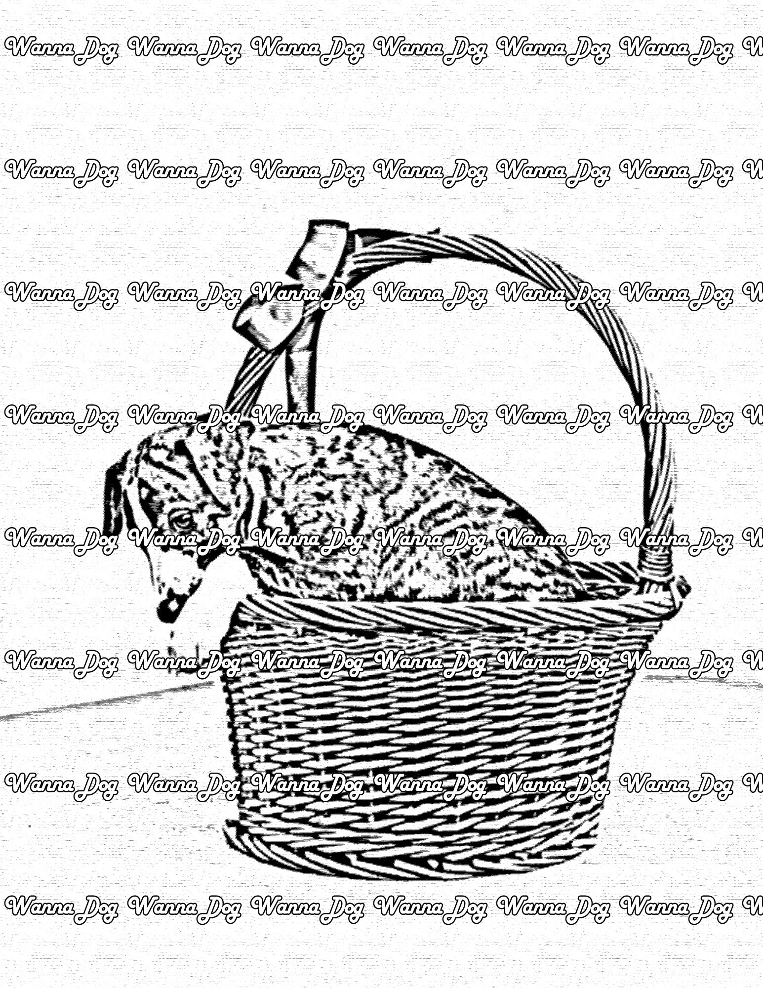 Whippet Coloring Page of a Whippet in a basket