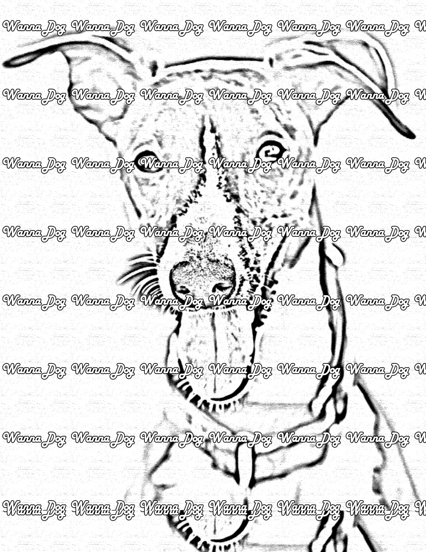 Whippet Coloring Page of a Whippet outside with their tongue out