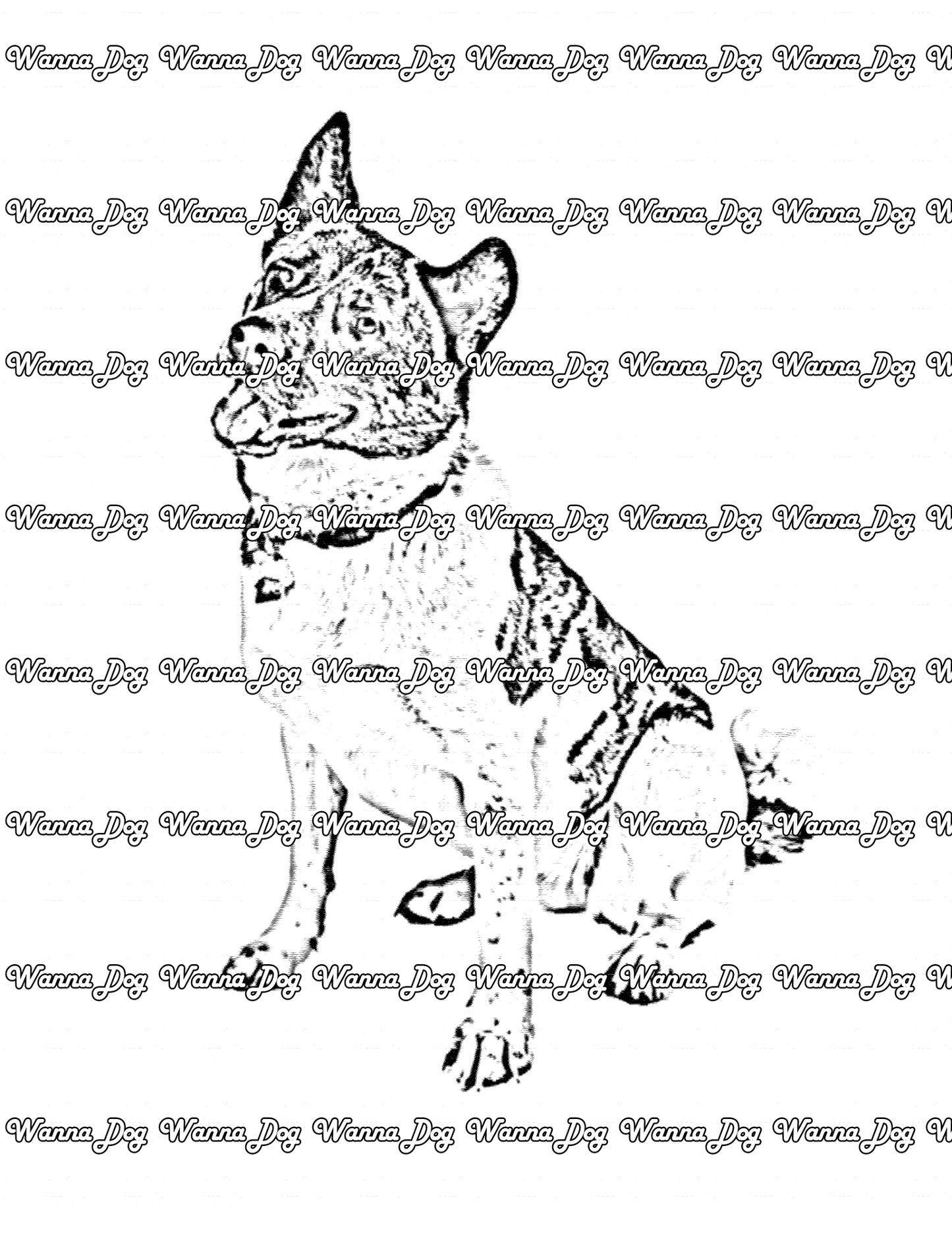 Akita Coloring Page of a Akita posing, looking away from the camera, and their tongue out