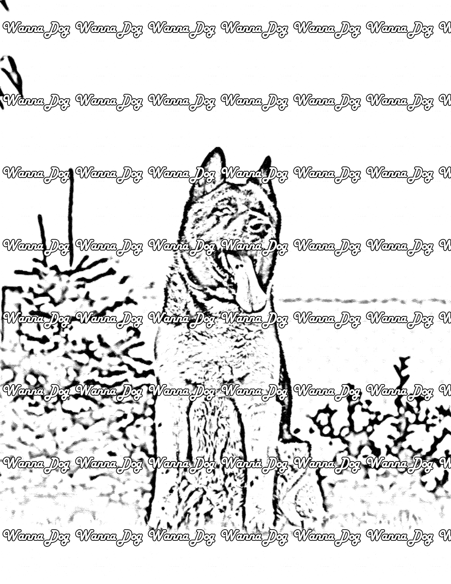 Akita Coloring Page of a Akita sitting outside with their tongue out