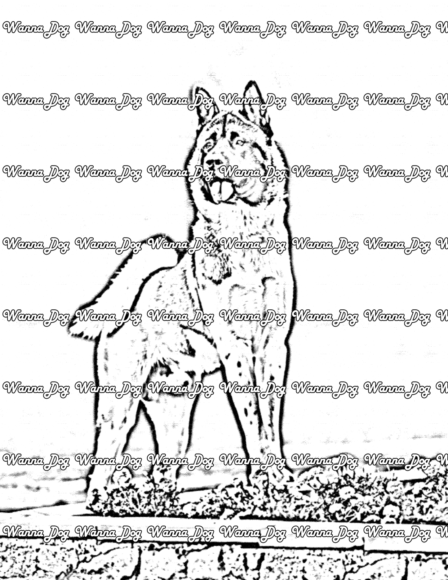 Akita Coloring Page of a Akita outside next to flowers