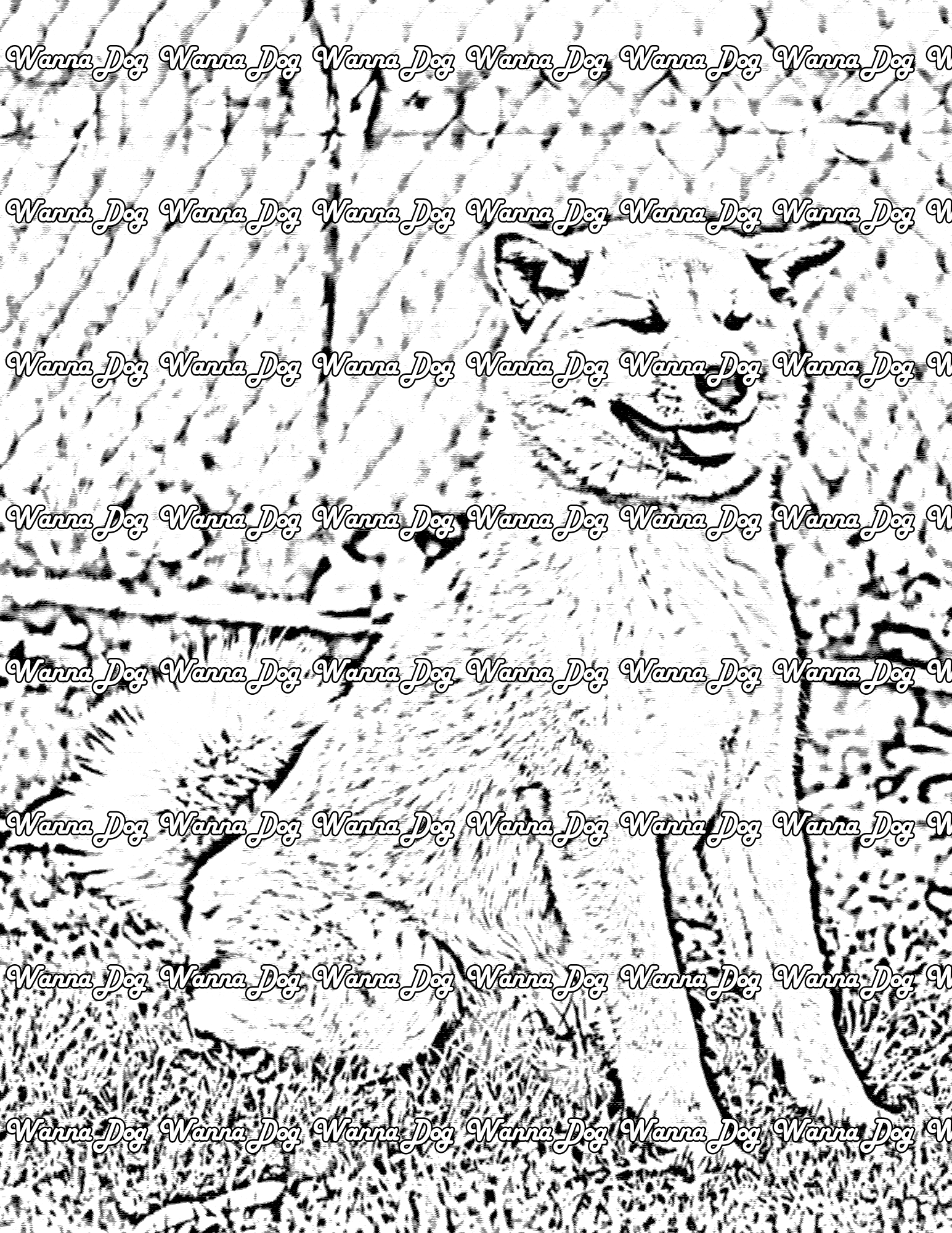 Akita Coloring Page of a Akita sitting outside smiling