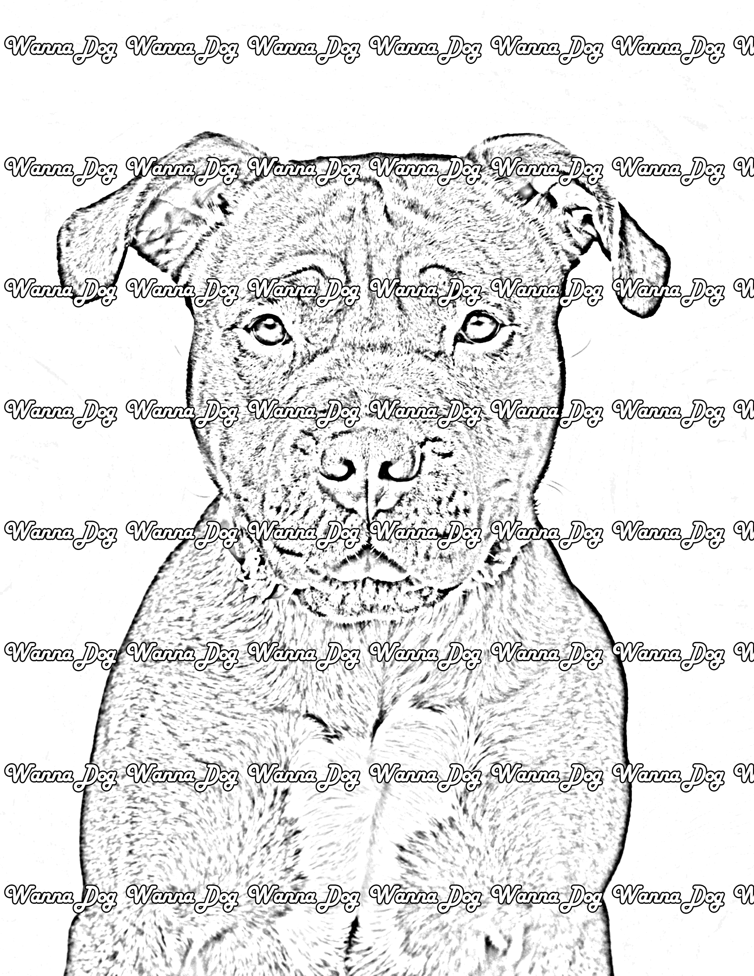 American Bulldog Coloring Page of a American Bulldog posing for the camera