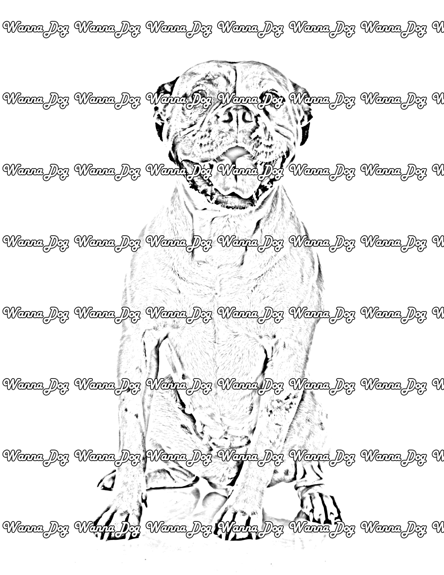 American Bulldog Coloring Page of a American Bulldog sitting with their tongue out