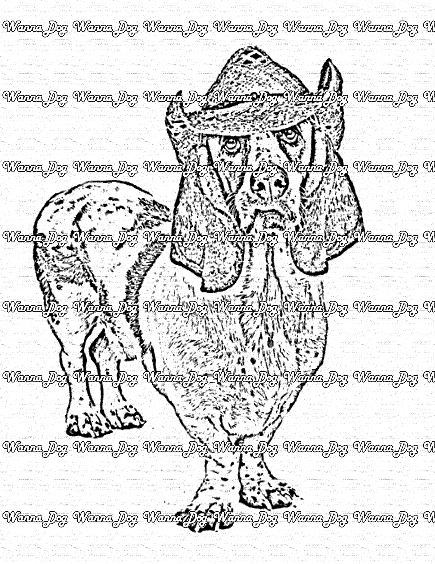 Basset Hound Coloring Page of a Basset Hound wearing a cowboy hat