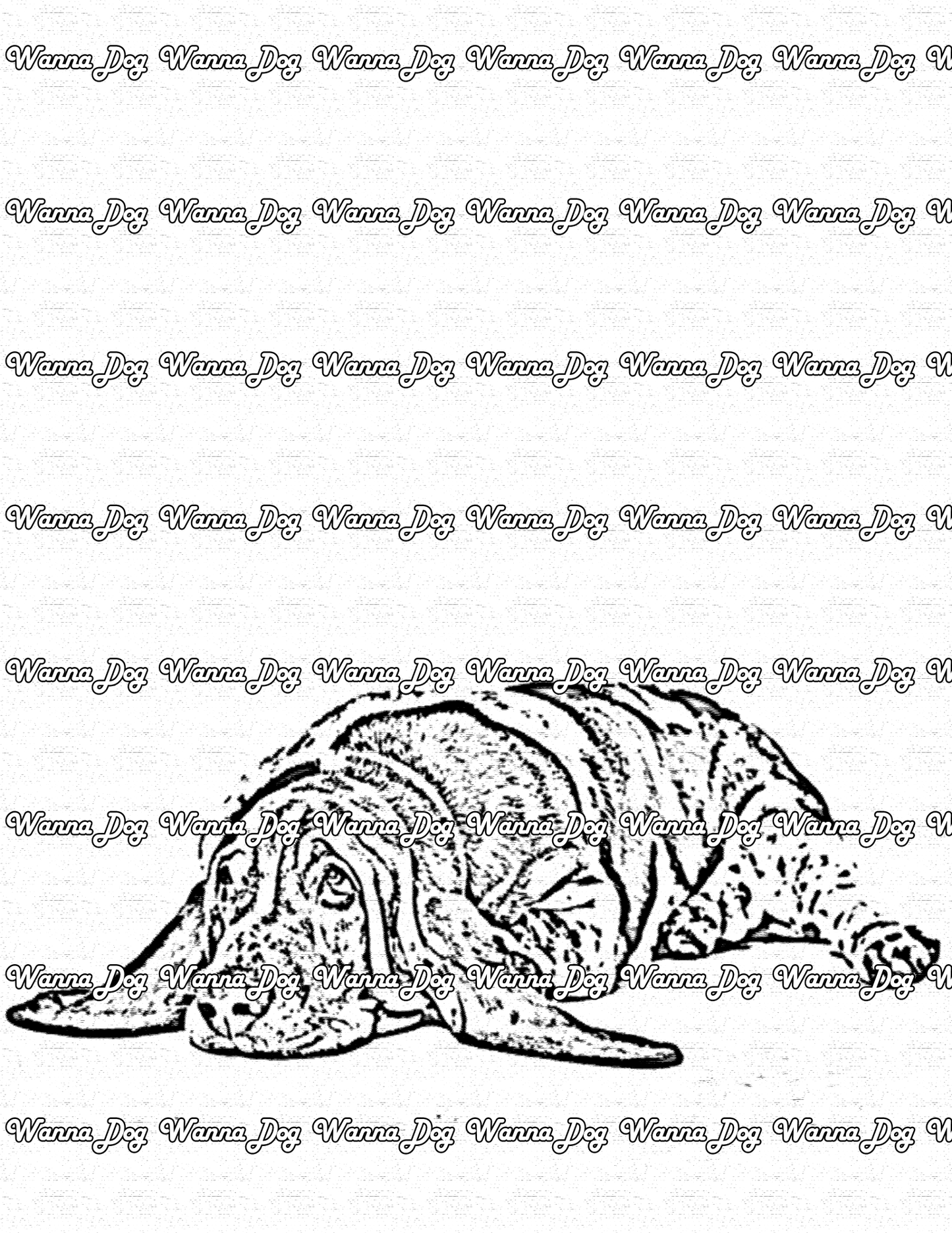 Basset Hound Coloring Page of a Basset Hound laying down tired