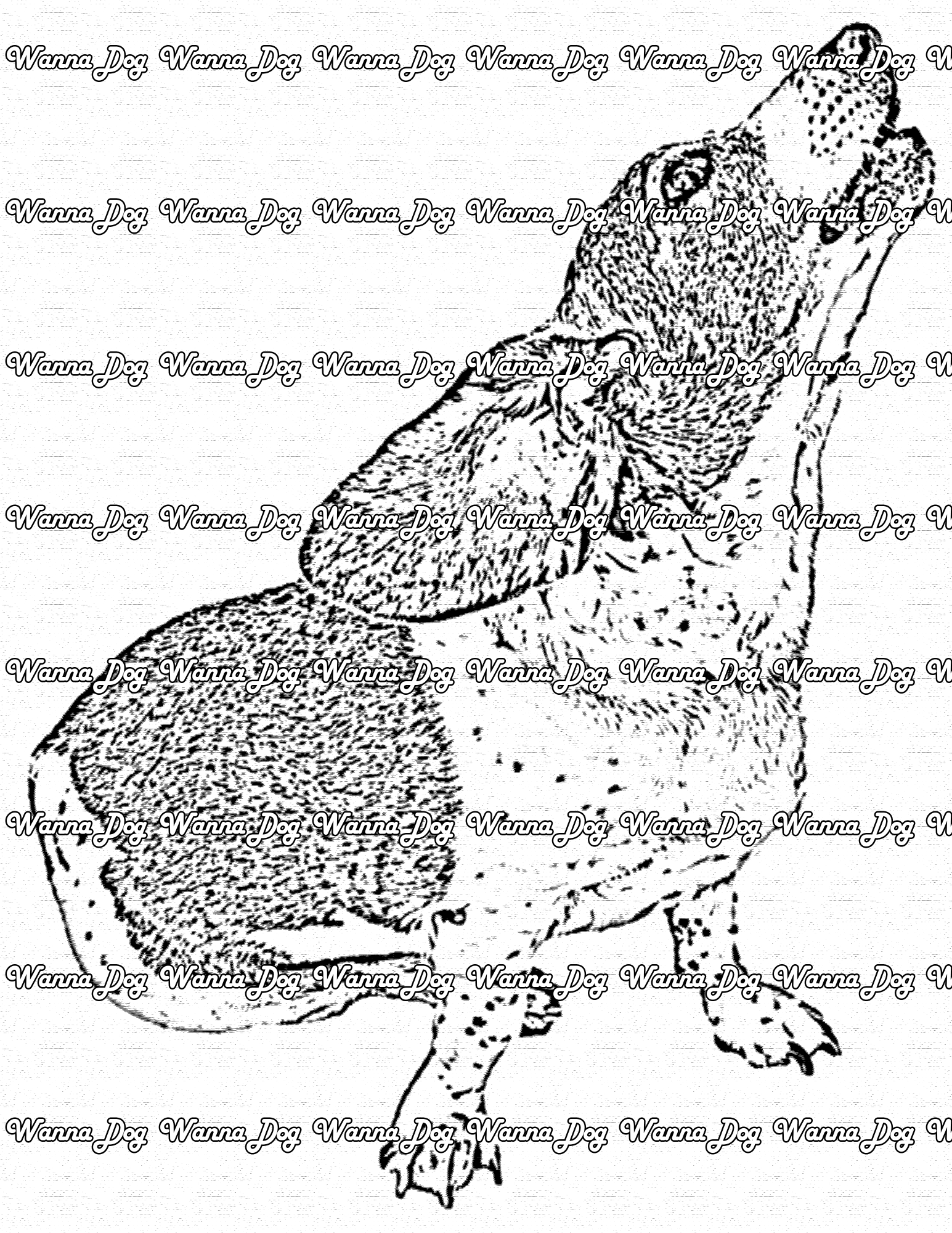 Basset Hound Coloring Page of a Basset Hound looking away from the camera