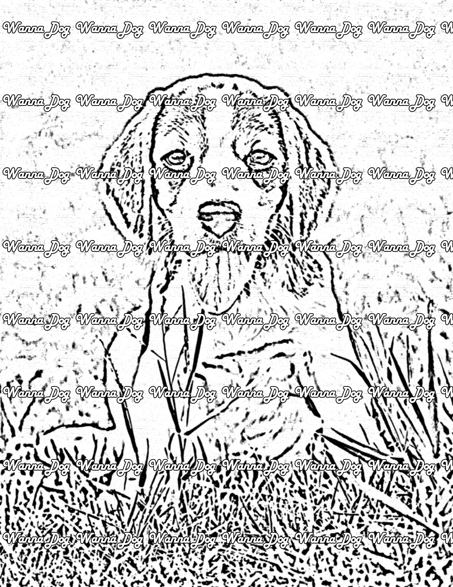 Beagle Coloring Page of a beagle with their tongue out in grass