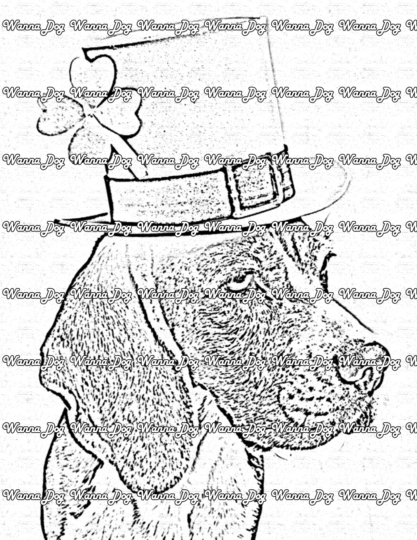 Beagle Coloring Page of a beagle with a St.Patrick's Day hat