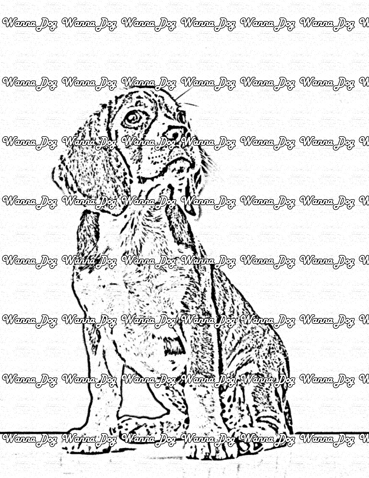 Beagle Coloring Page of a beagle staring away from the camera