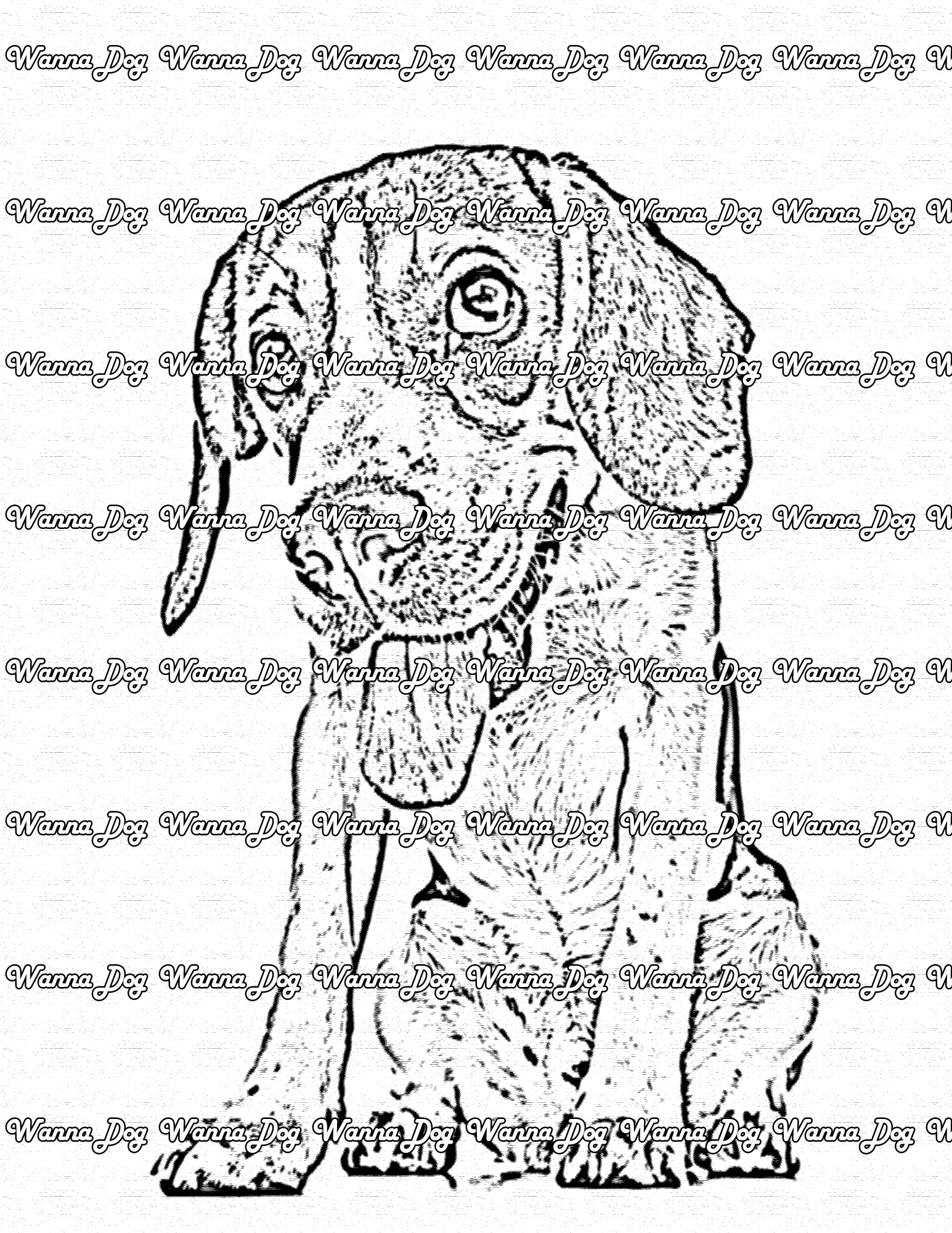 Beagle Coloring Page of a beagle with their tongueBeagle Coloring Page of a beagle standing up