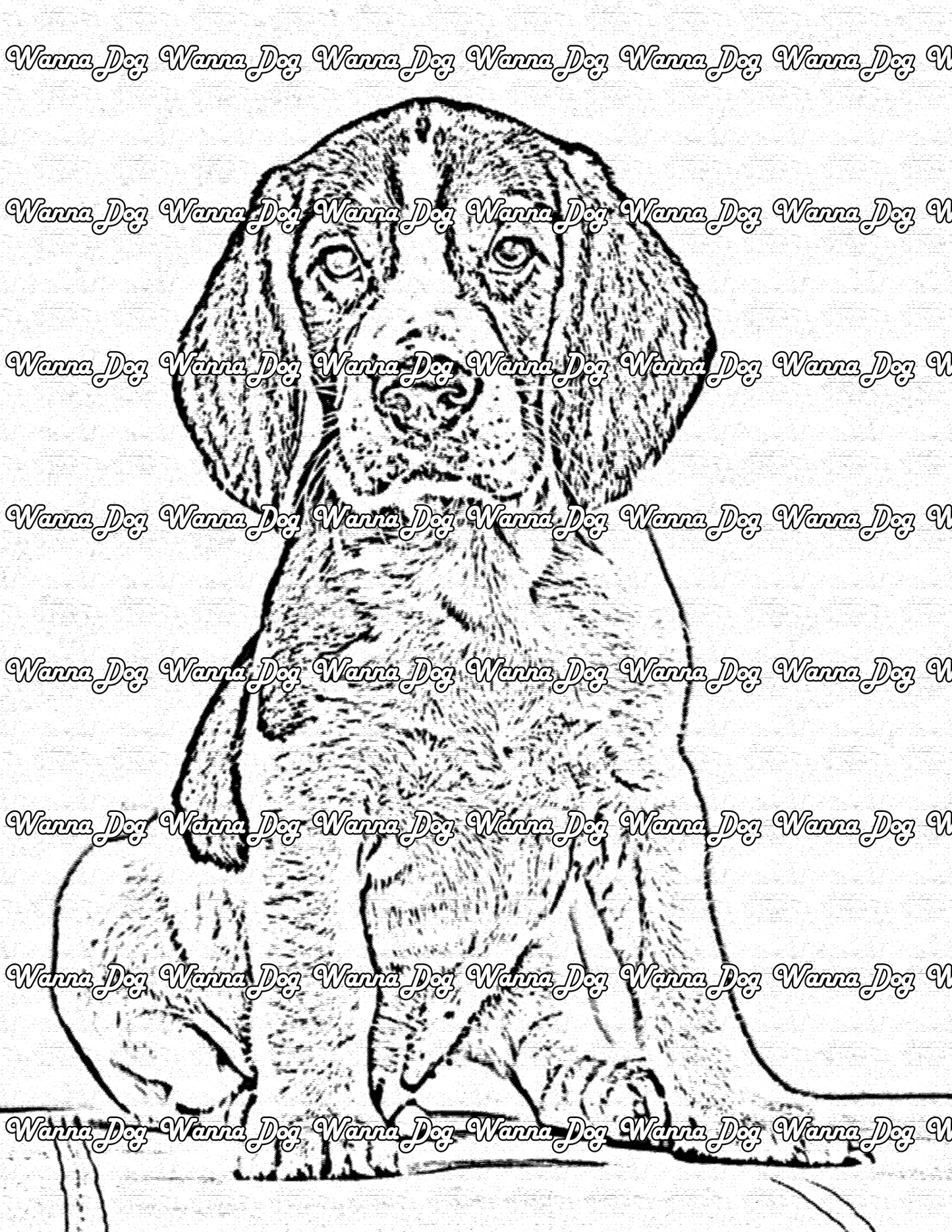 Beagle Coloring Page of a beagle sitting down and staring into the camera