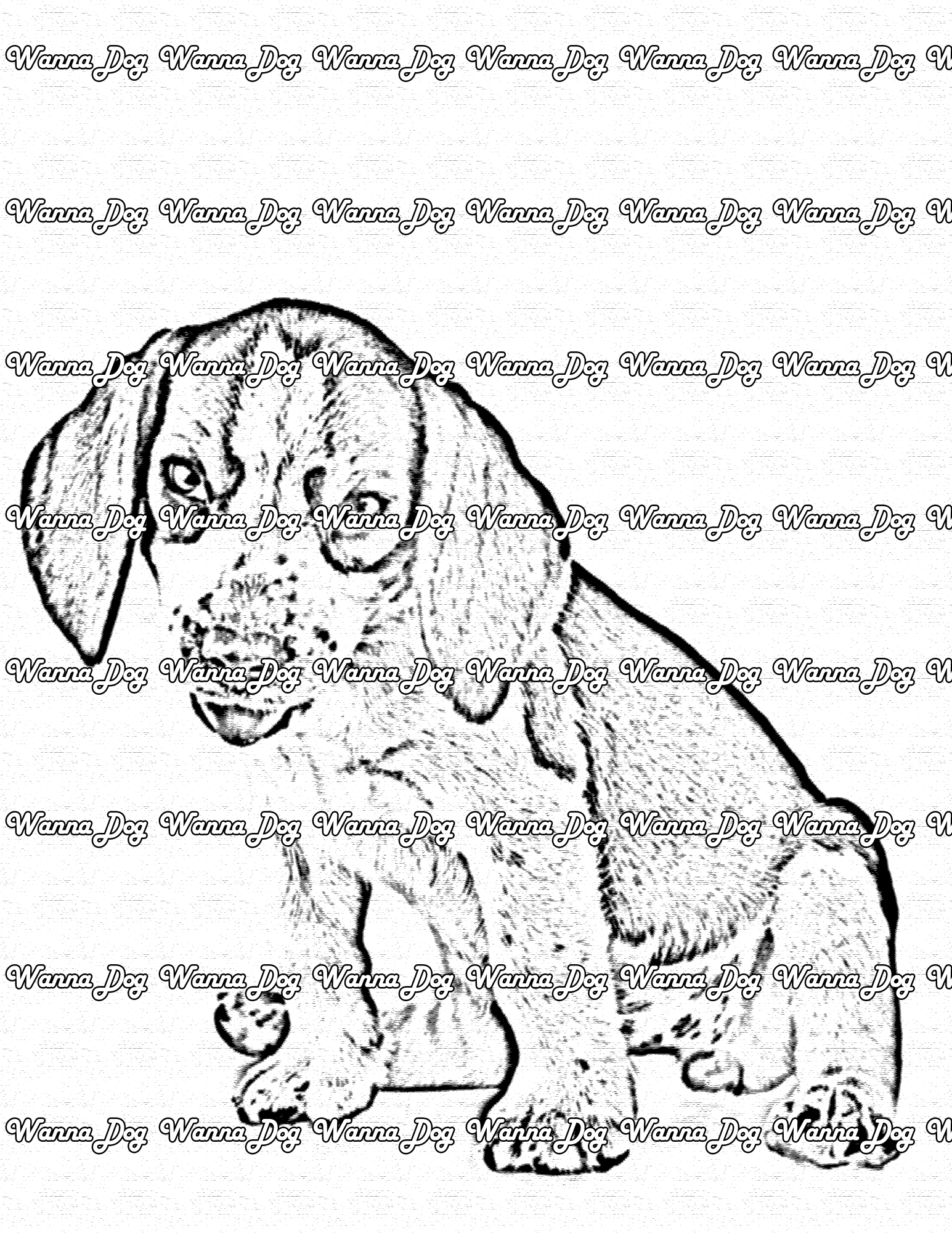 Beagle Puppy Coloring Page of a Beagle Puppy with their tongue out