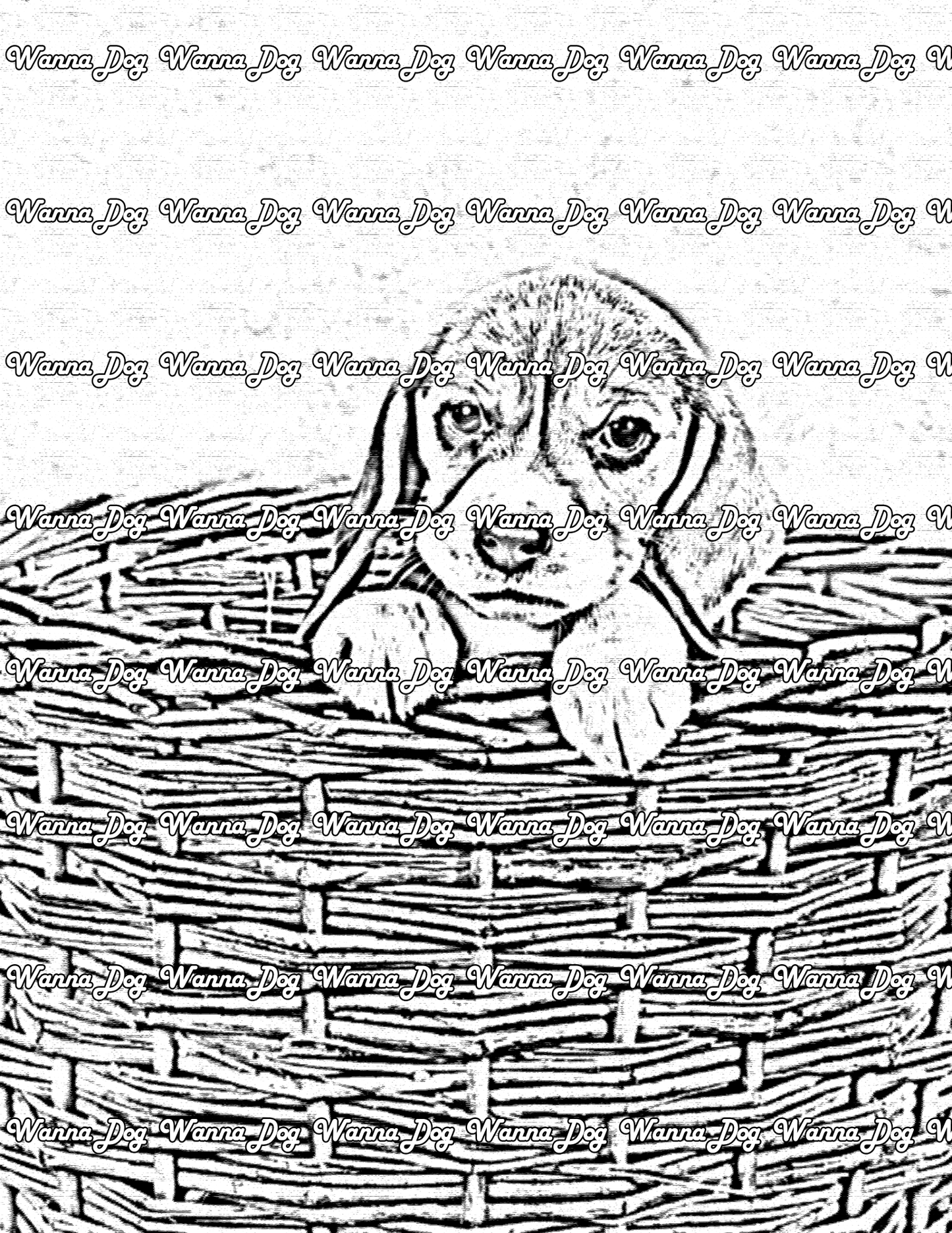 Beagle Puppy Coloring Page of a Beagle Puppy in a basket