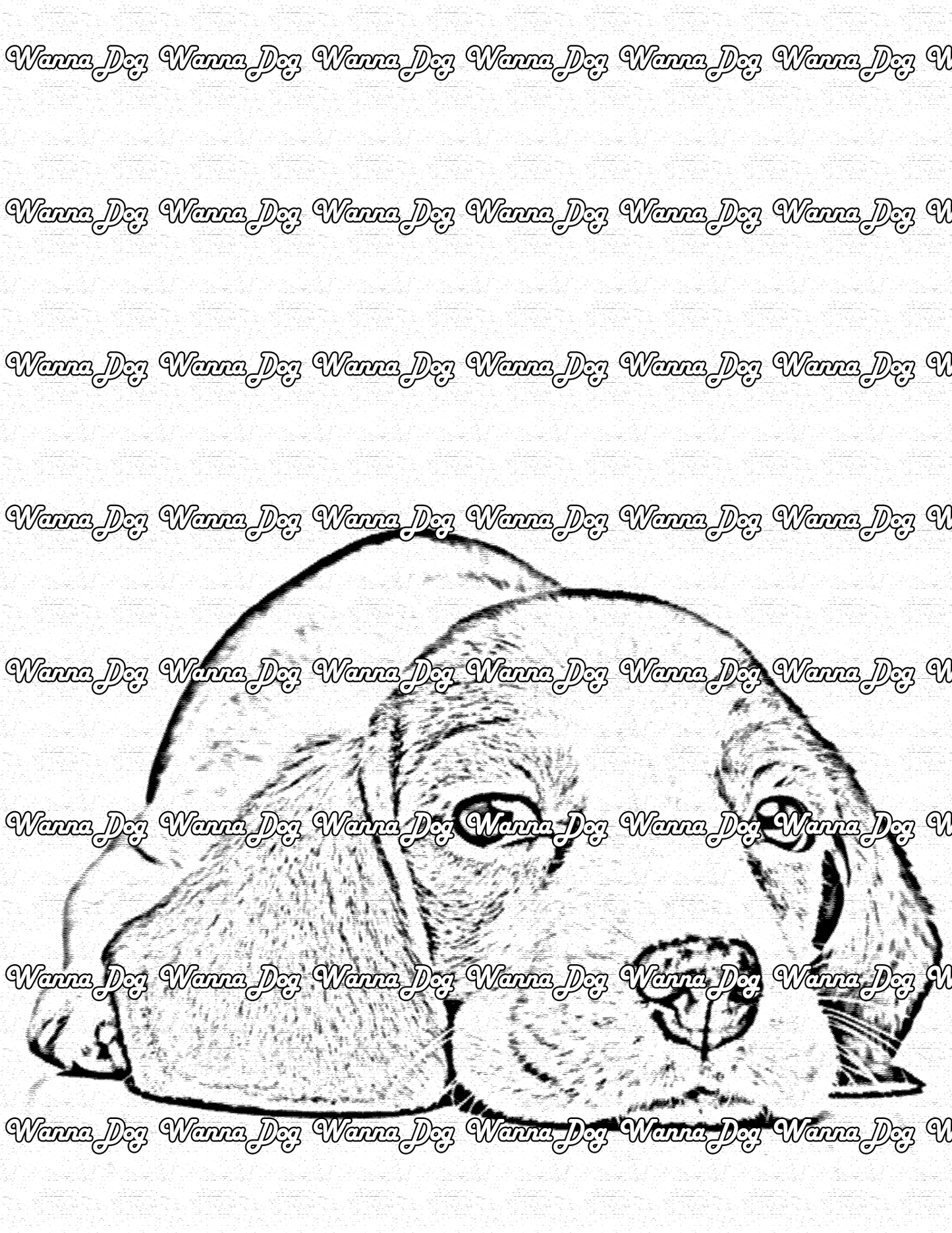 Beagle Puppy Coloring Page of a Beagle Puppy laying down